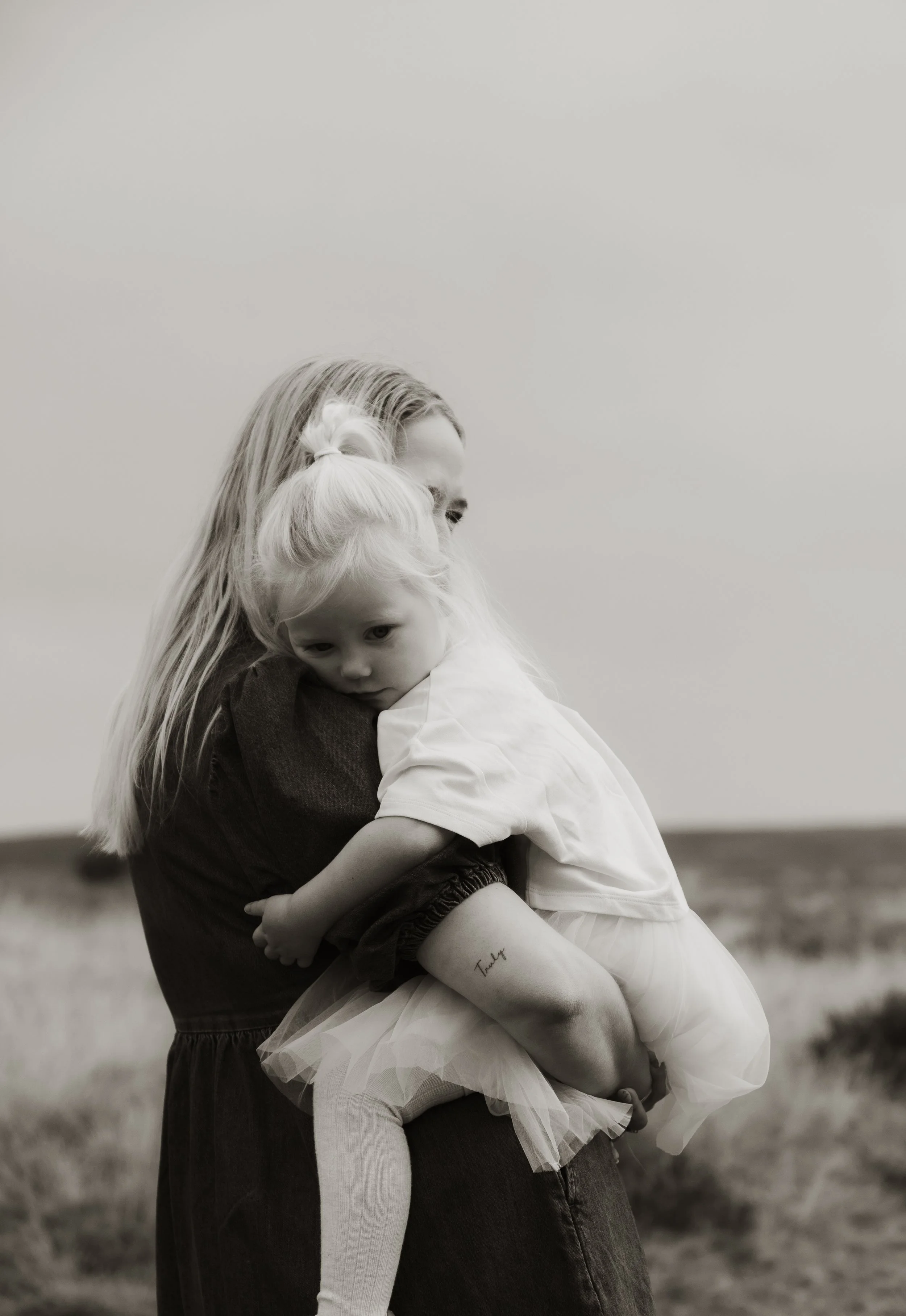 York family photographer 