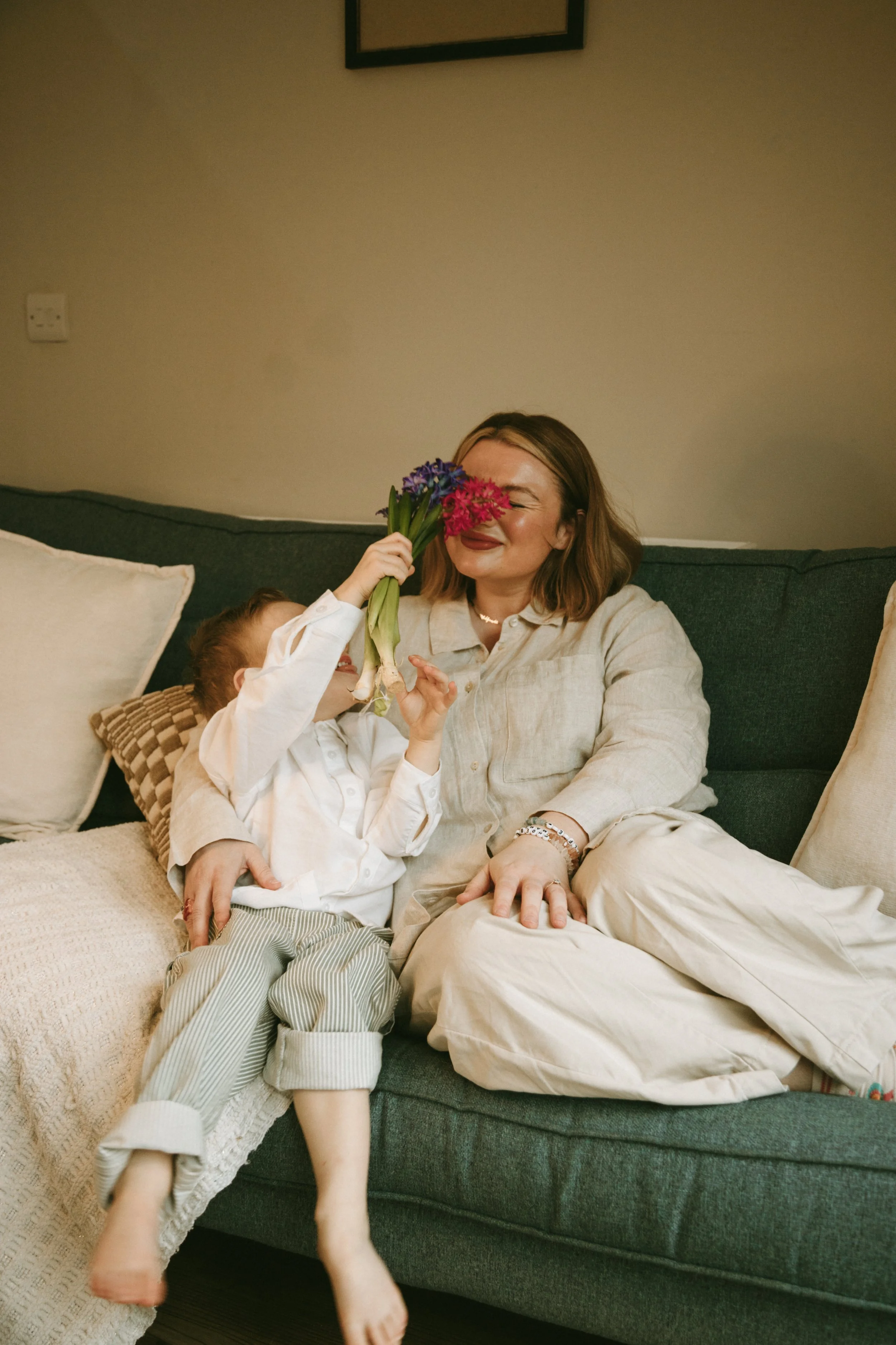 York family photographer 