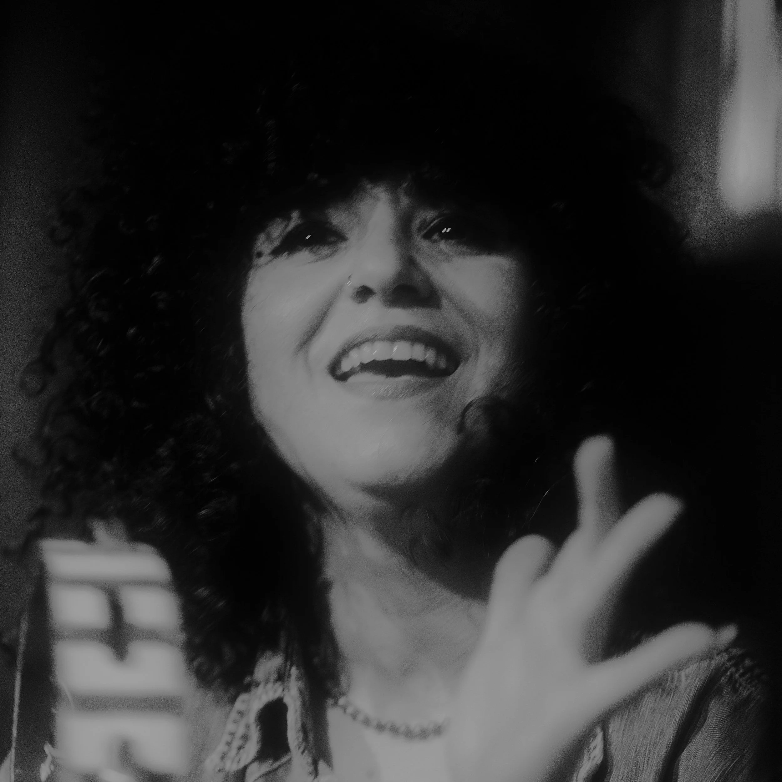 Live in Vienna 2 (c) Hanna Fasching.jpg