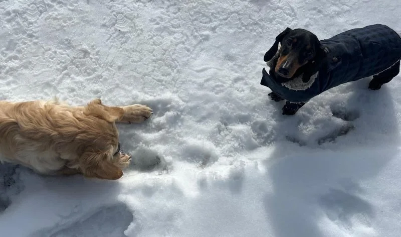 🐾&nbsp;Pauls Perspektive: Veränderung beginnt oft im Kleinen&nbsp;🐾