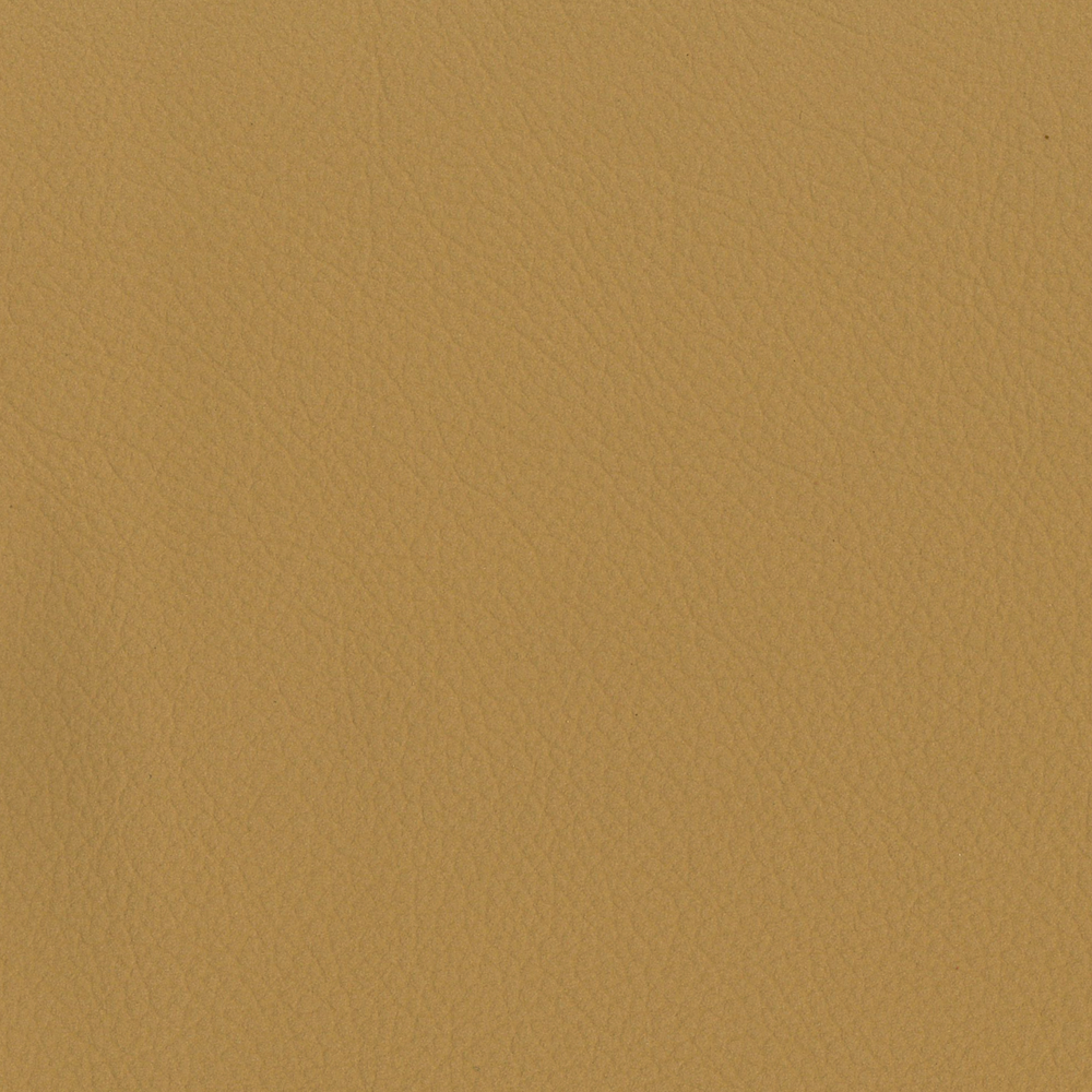 PANAMA | Yellow