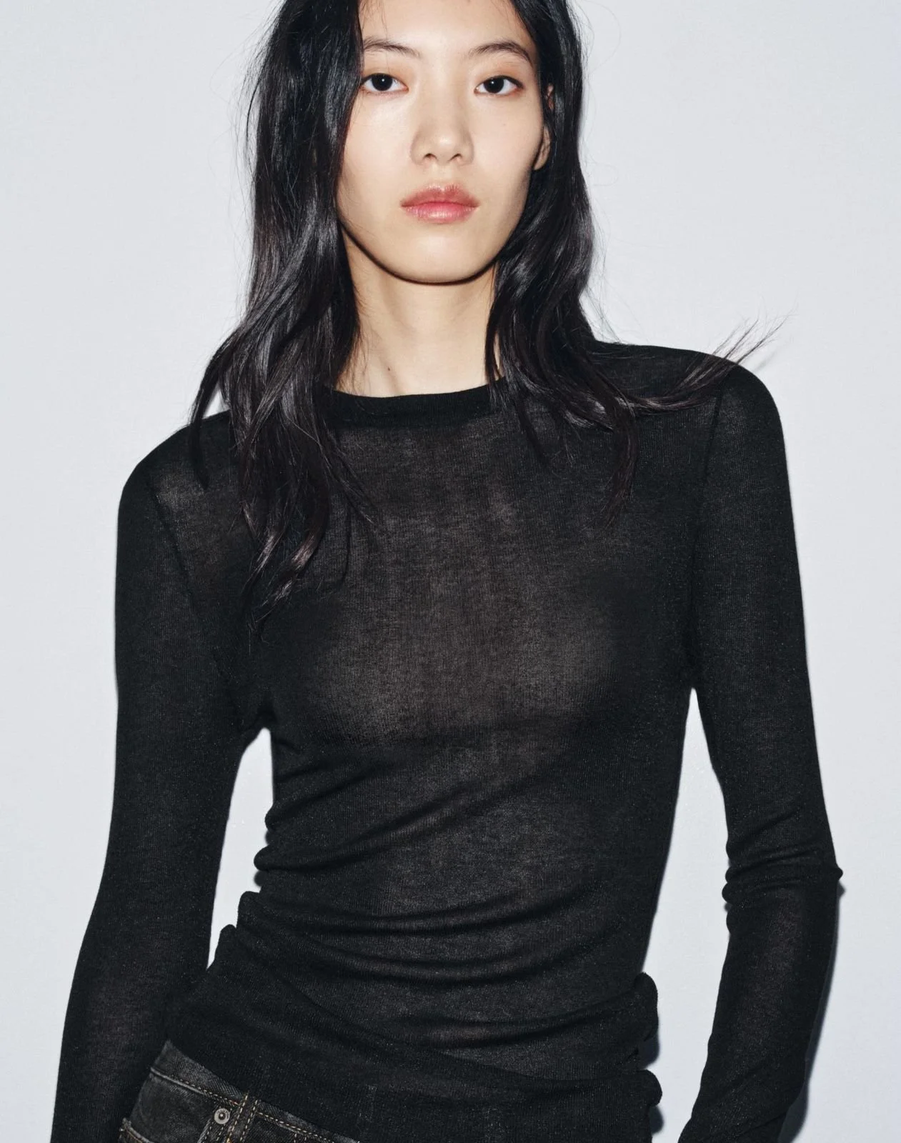 Zara Fine Knit Sheer Top