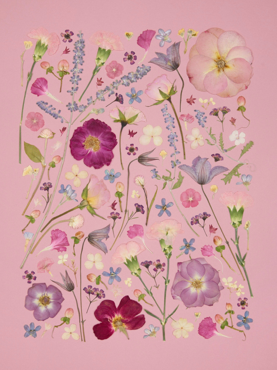 Dusty Rose.png