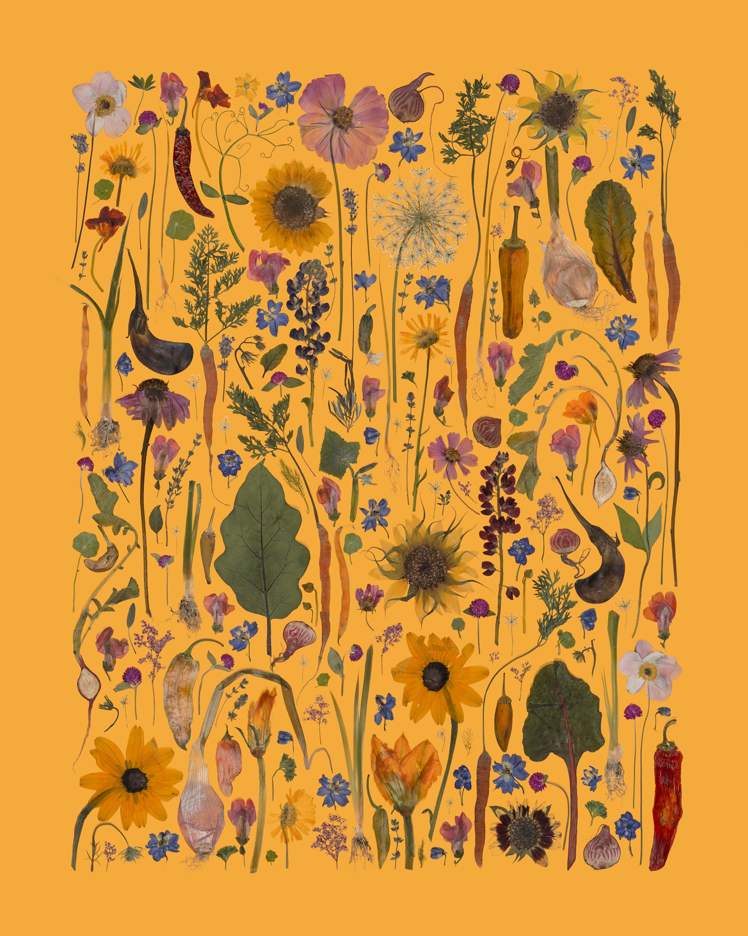 NOURISH - pressed flower art