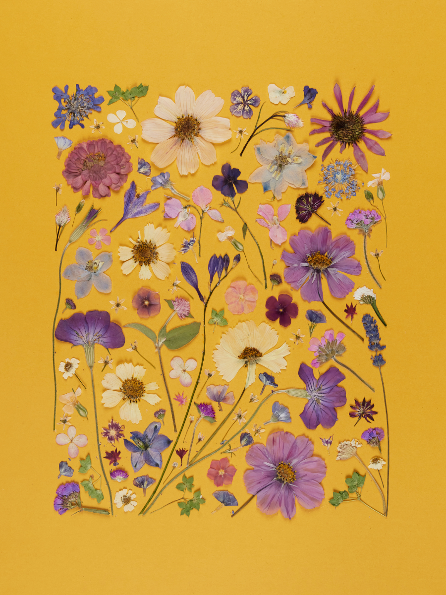 Yellow.png