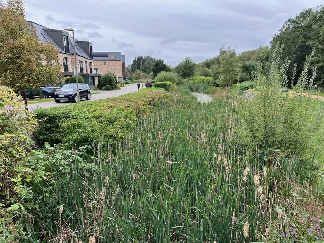 Maximising the Landscape, Ecological and Amenity Value of Sustainable Drainage Systems (SuDS)