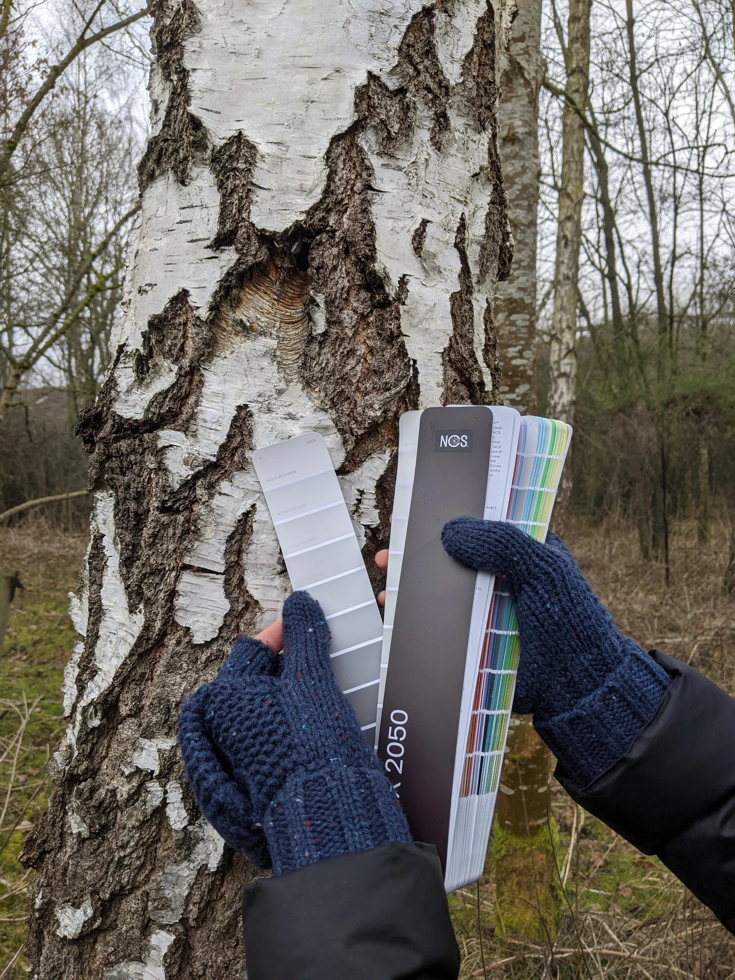 Swatches can be taken from a range of natural and man-made elements of the environment.