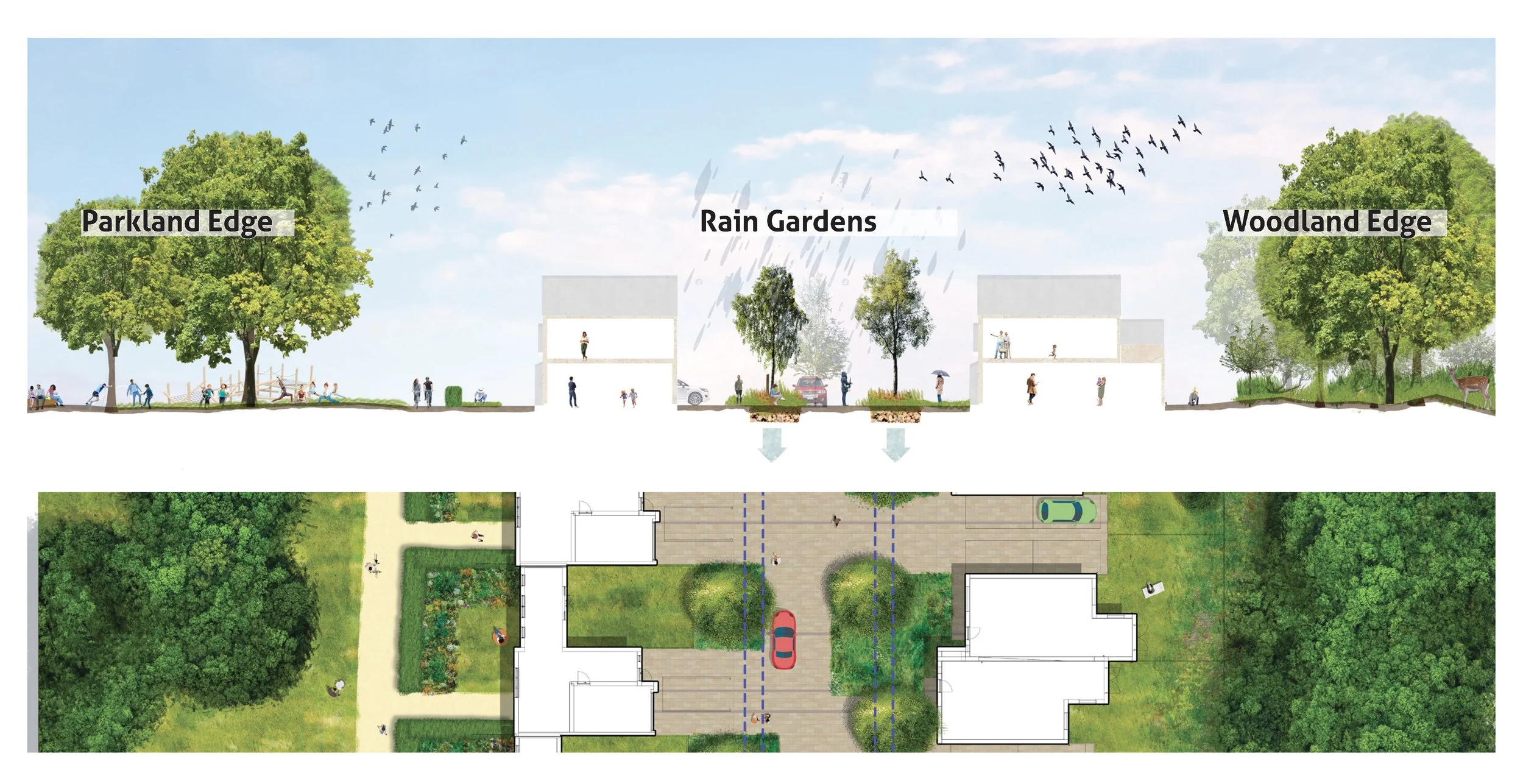  Brooklands illustrative section. 