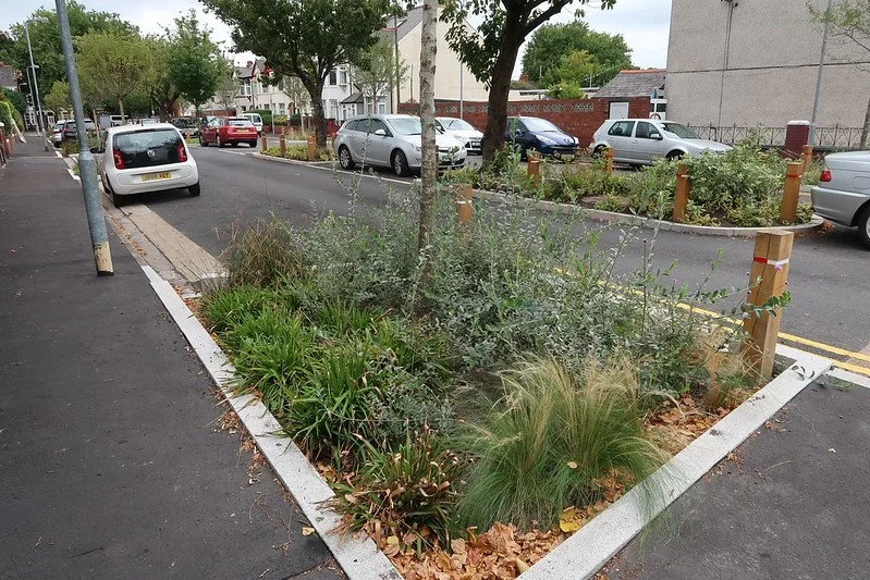  SuDS at Greener Grangetown, Cardiff - Summer 2018 (Courtesy of Susdrain/CIRIA) 