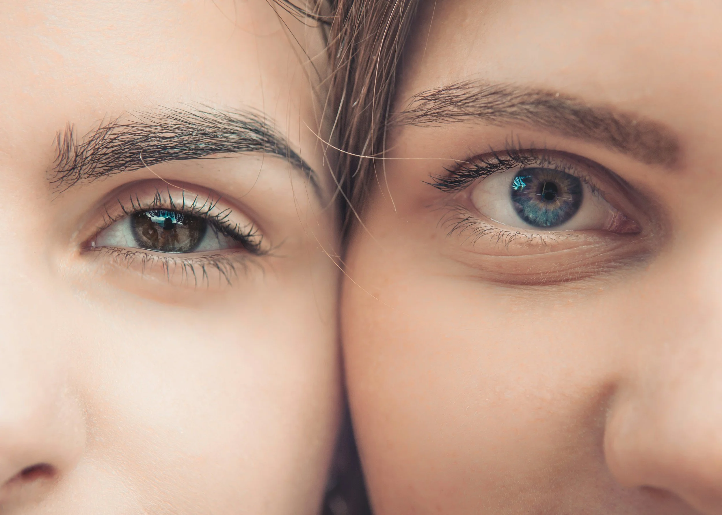 Where do emotions live — in the mind, or in the body?