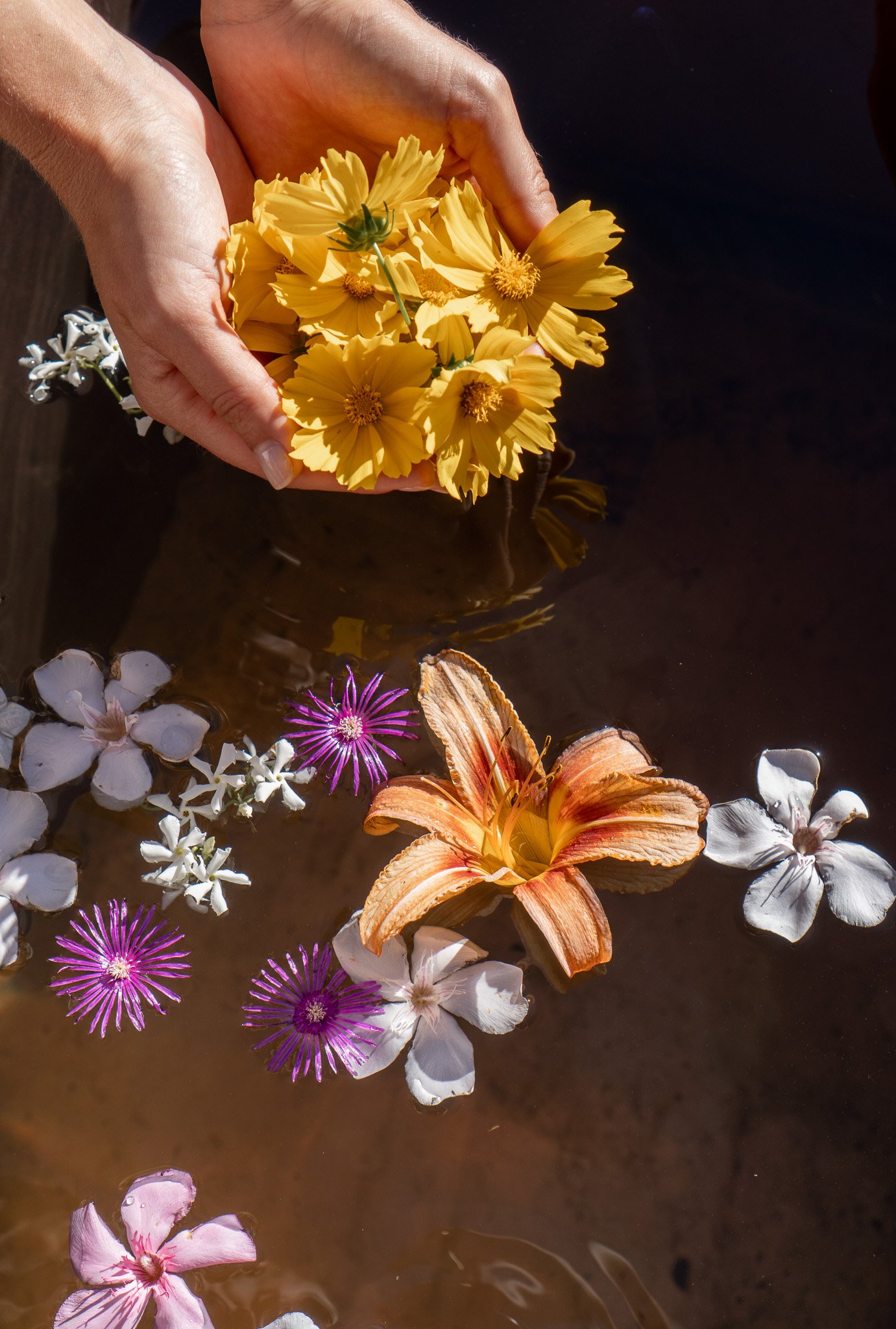 the woman within retreat ✺ ticino, switzerland