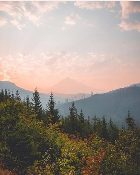 awake &amp; alive ✺ yoga and hiking retreat ✺ ticino, switzerland