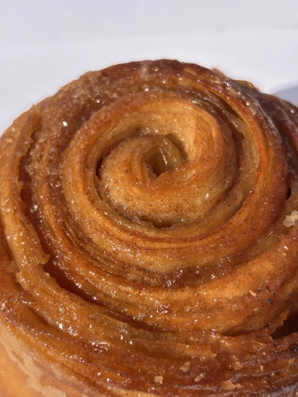 southcounty_pastry_morning-bun-close-up_bb.jpeg