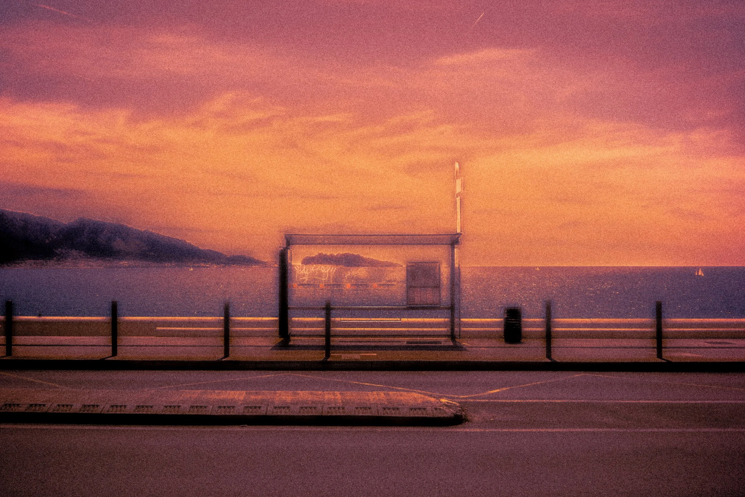 L1007971.jpeg