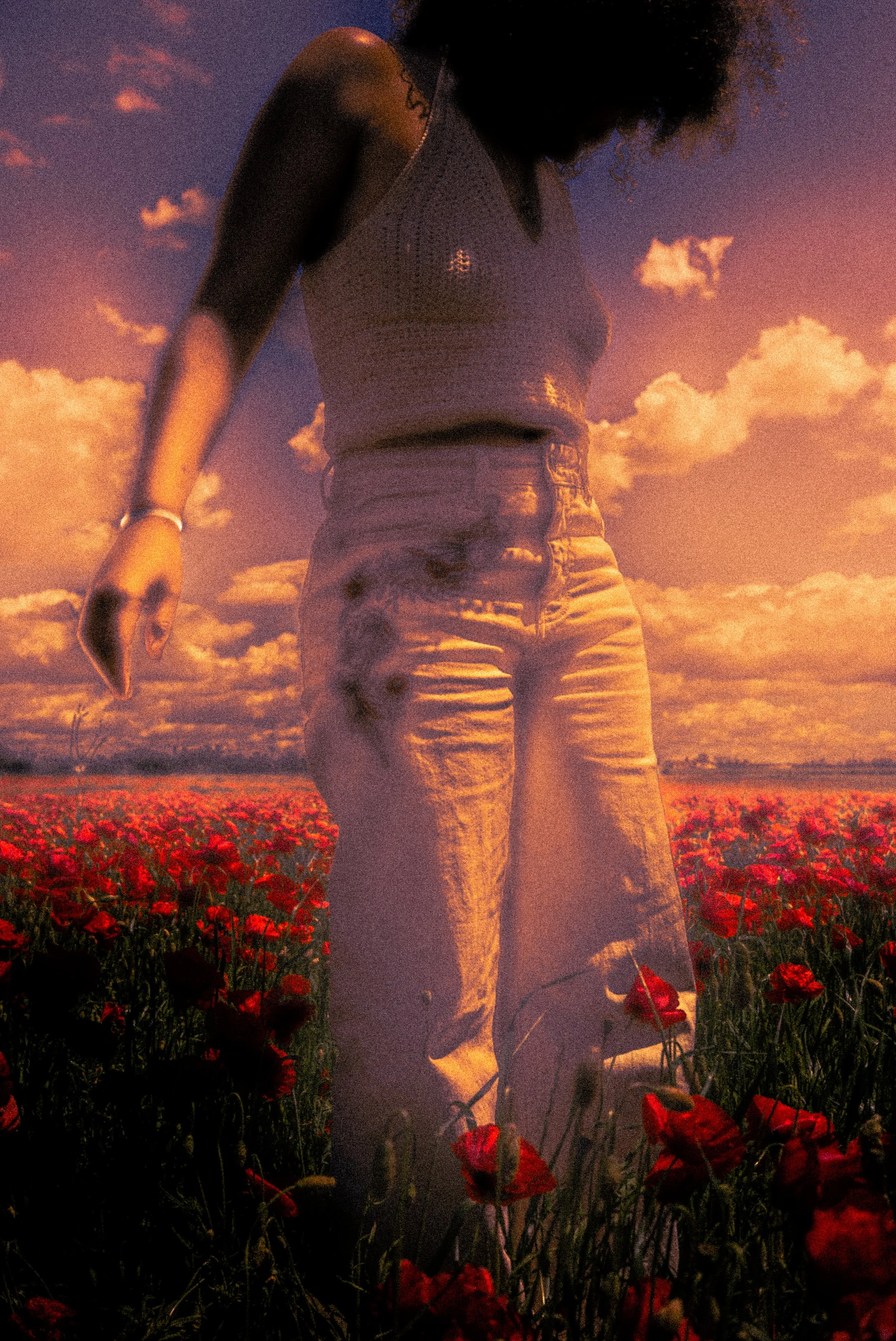 L1008184.jpeg