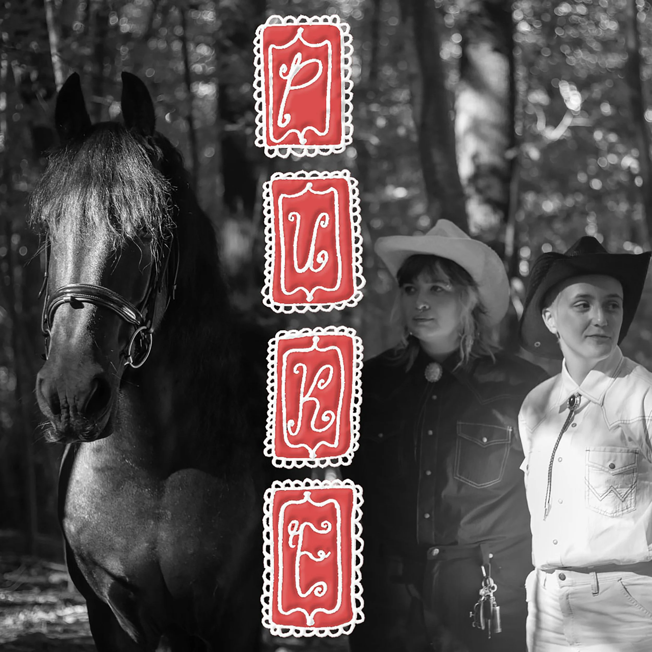 Righteous Babe Records Artist Sweet Petunia Releases Single “Puke”, Announces 2026 Tour Dates with Ani DiFranco