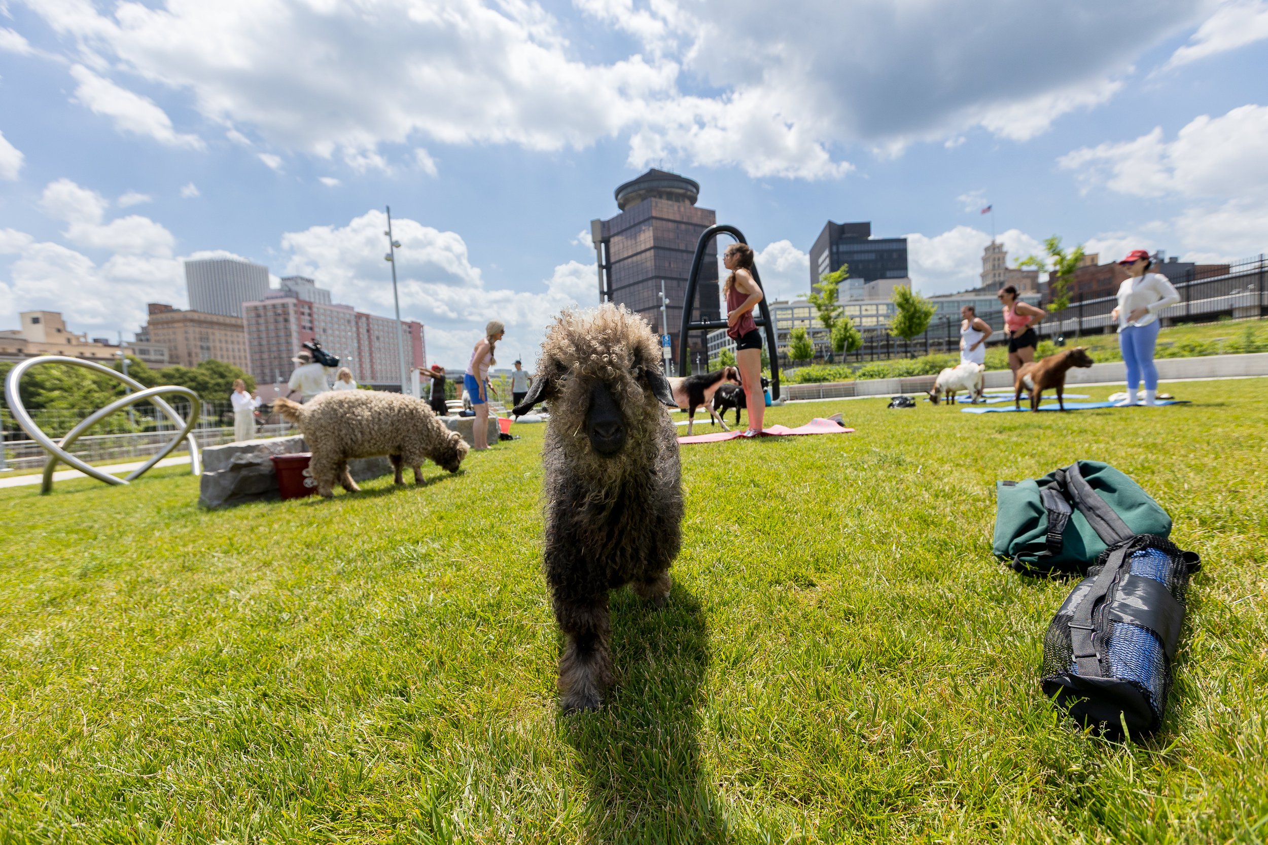 250624-yoga_322.jpg