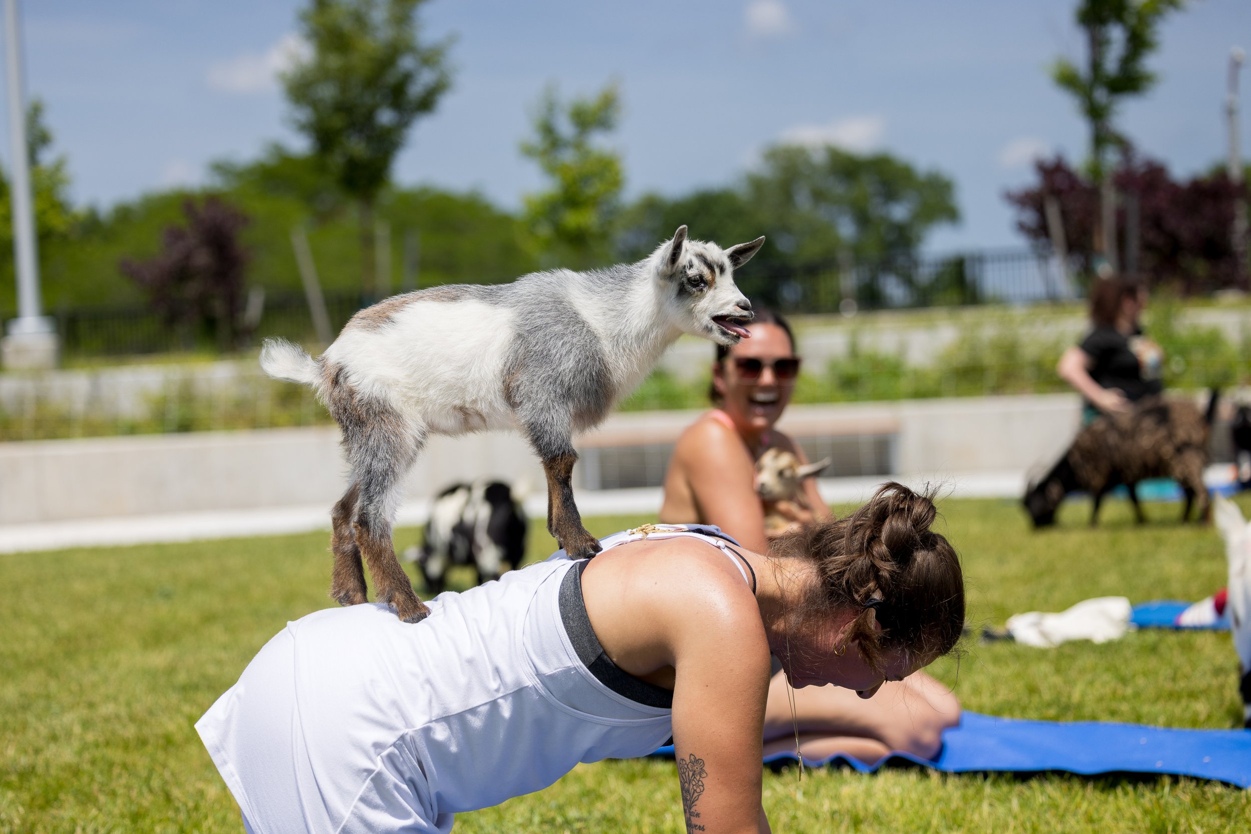 250624-yoga_394.jpg