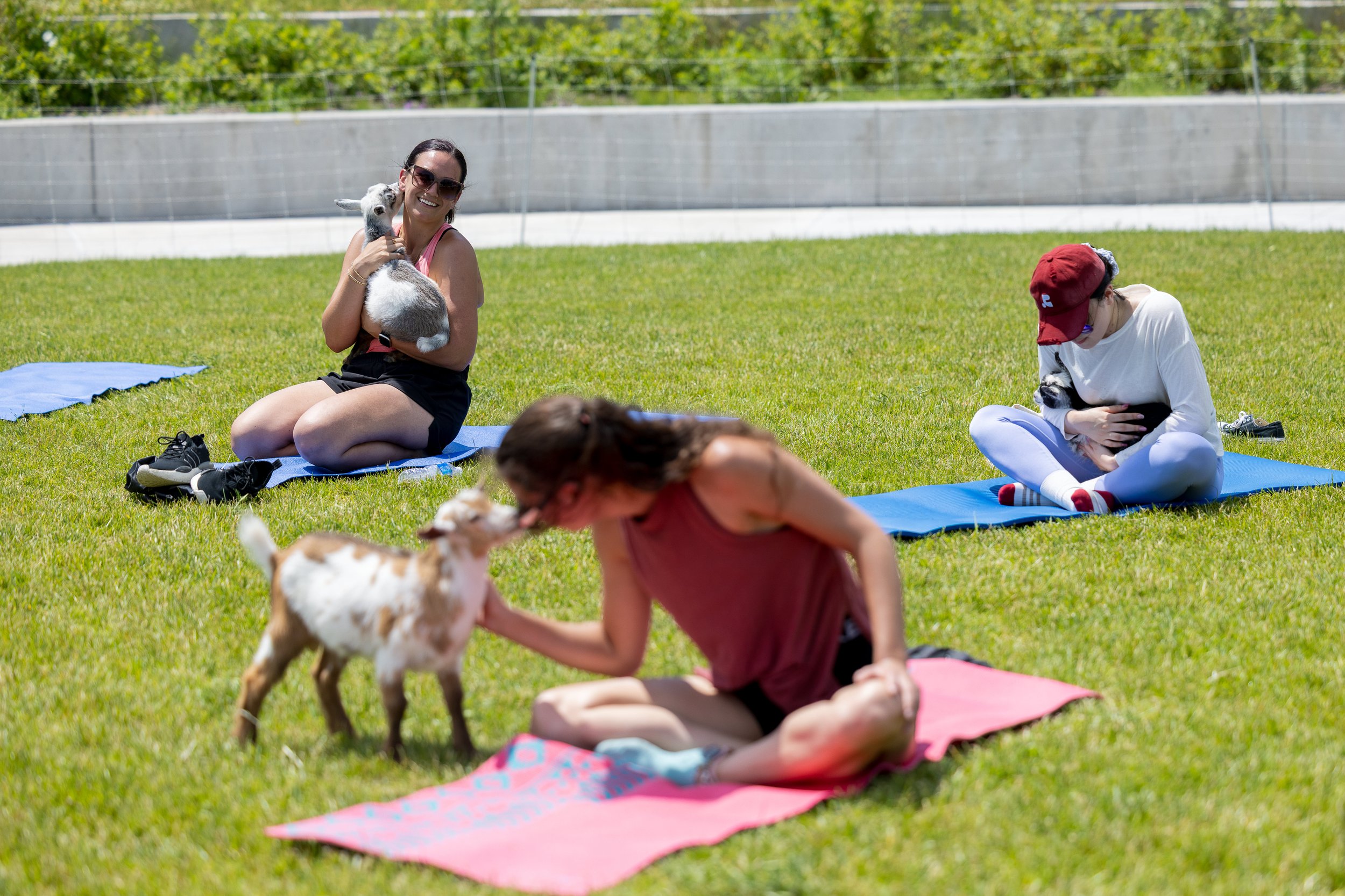 250624-yoga_582.jpg