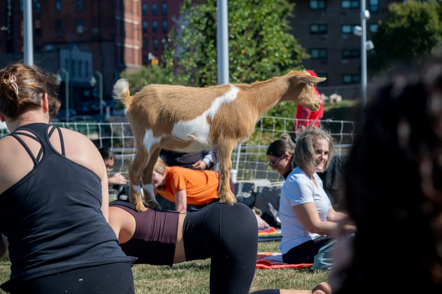 250930-yoga_0136.jpg