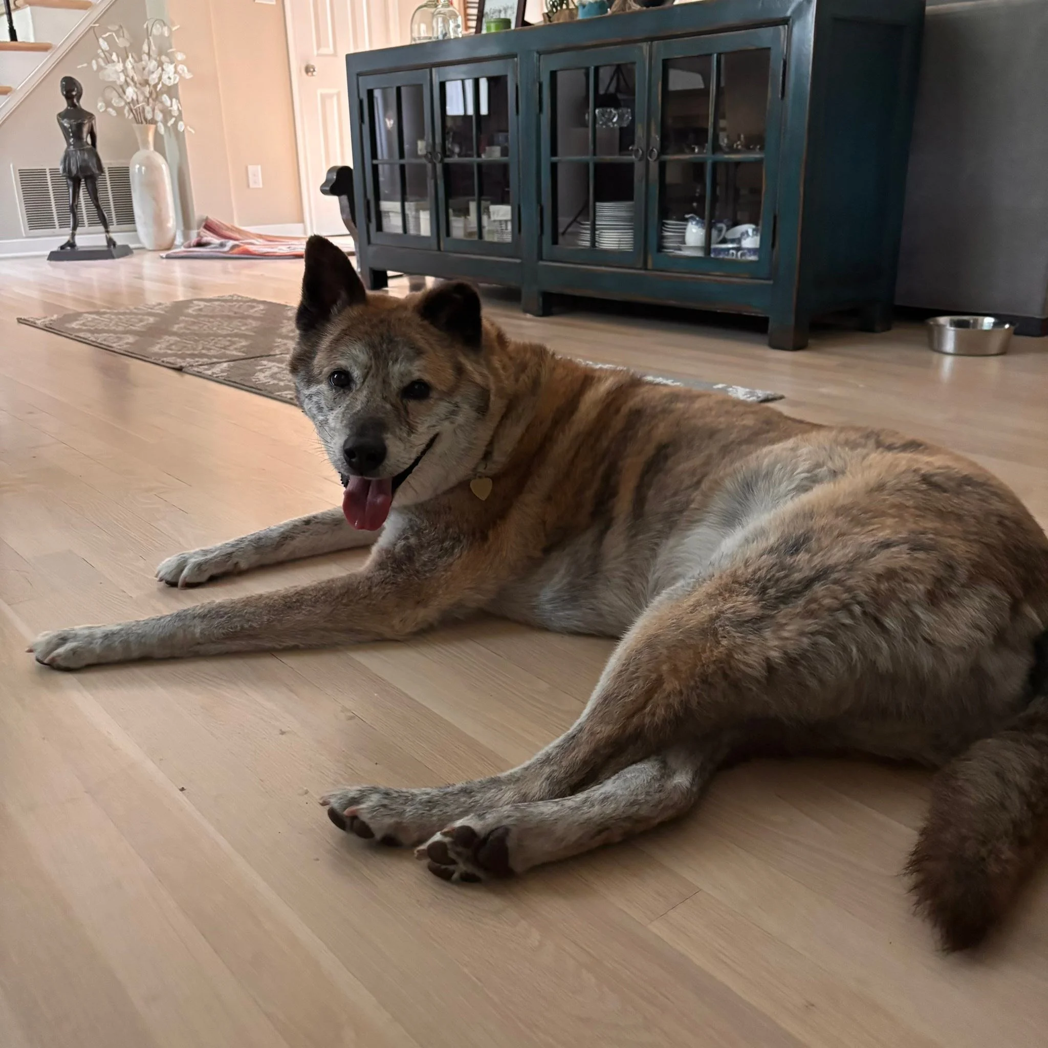 Handsome man had a relaxing few days visiting Camp Laubacher.