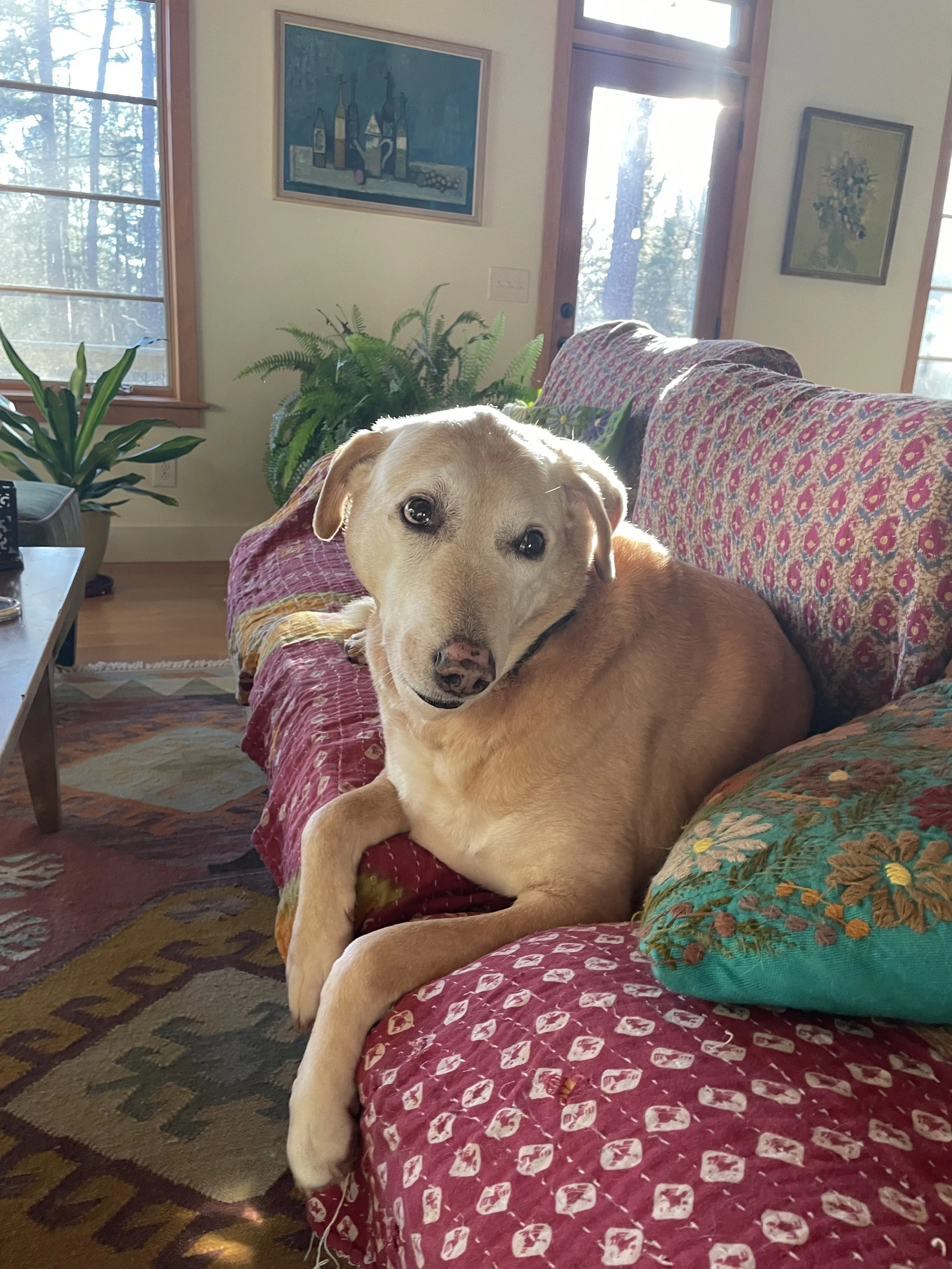 The Wonders are Always here by Bill Wofford