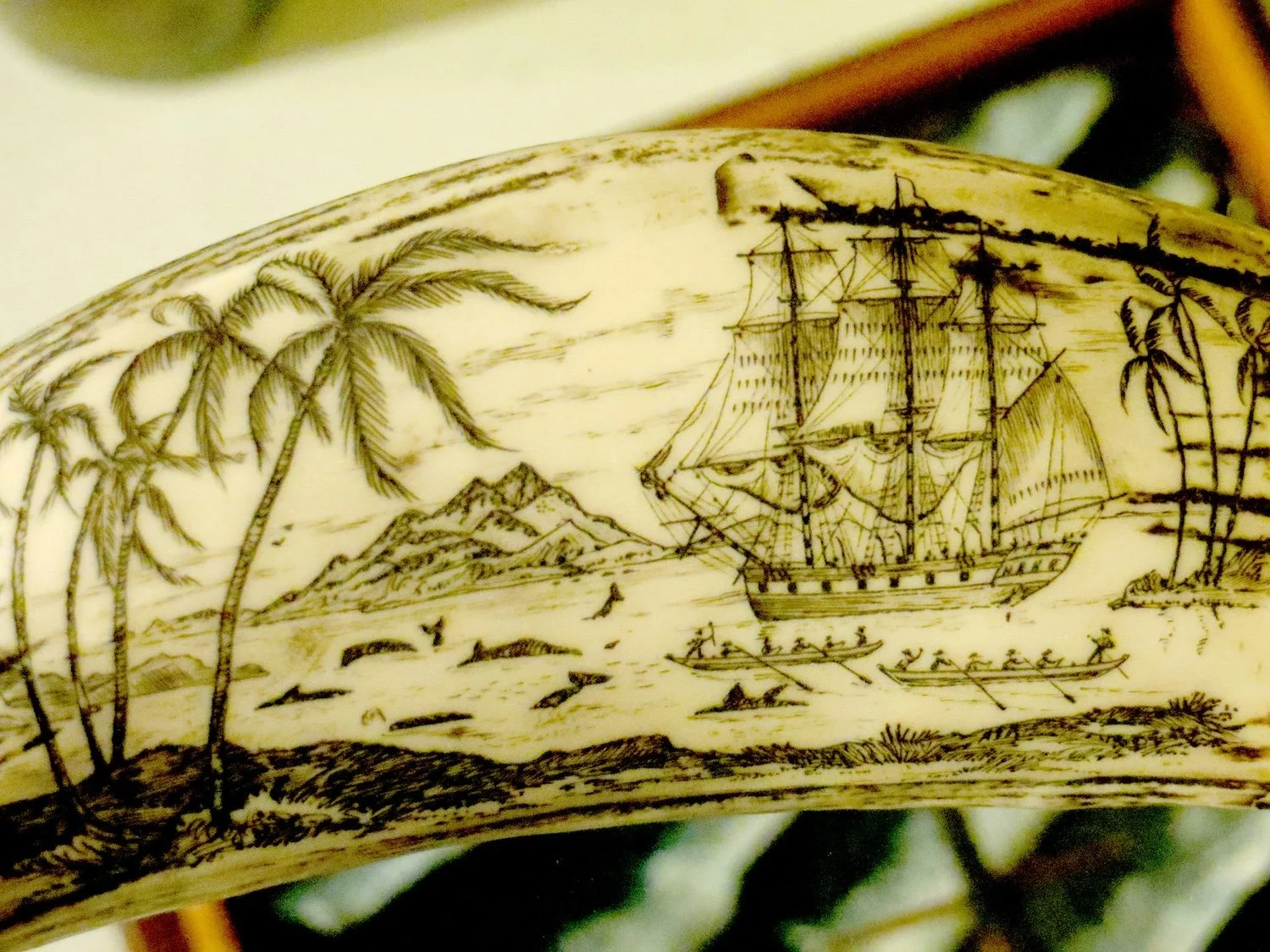 Cargo Drawings - Michele O'Brien 2.jpeg