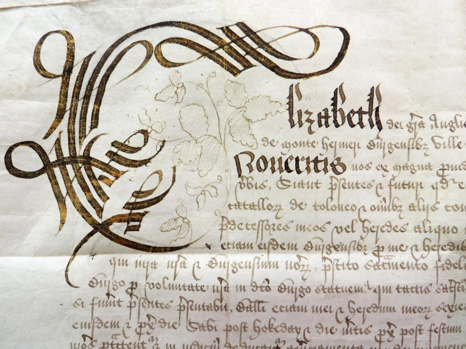 Cargo Drawings - Michele O'Brien 10.jpeg