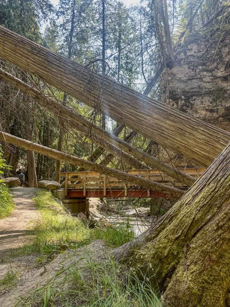 Solo Walk to Margaret Falls – Hidden Nature Trails of the Shuswap