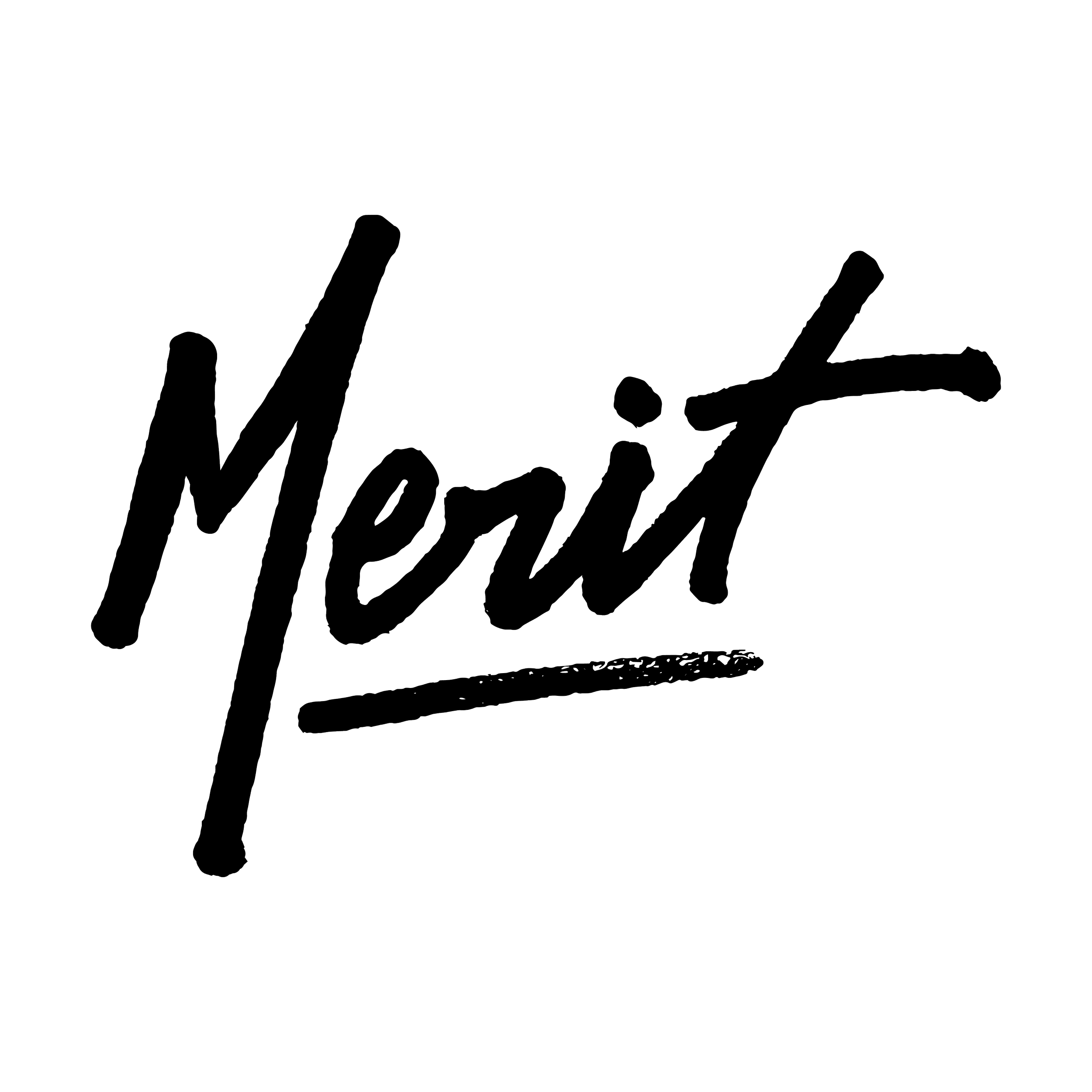 Merit Brewing | Hamilton Ontario.png