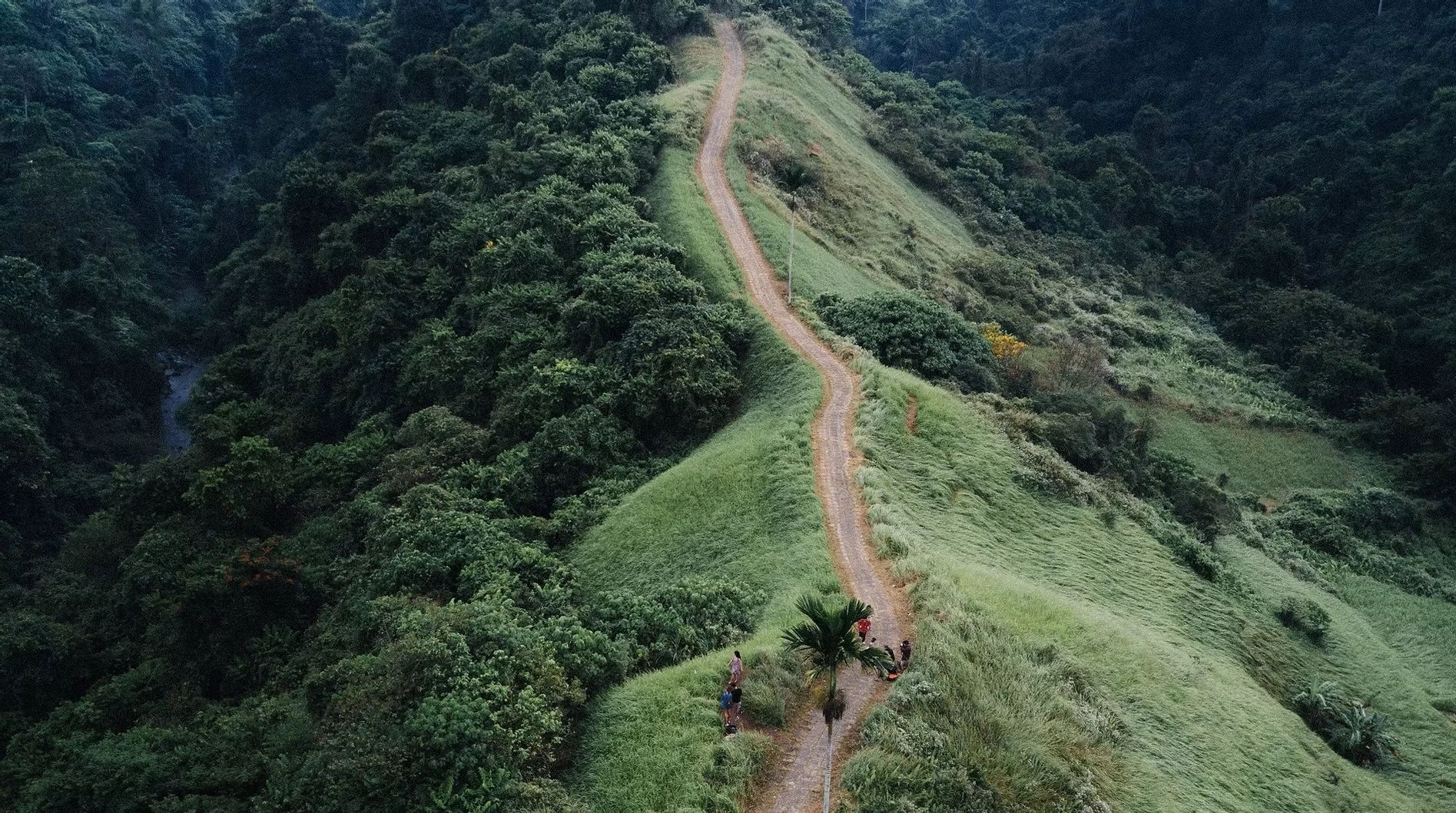 The Healing Care Center