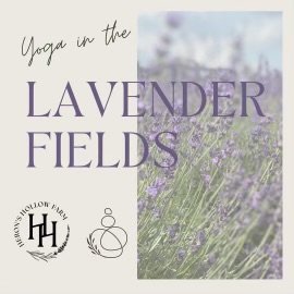 Yoga at the Lavender Farm