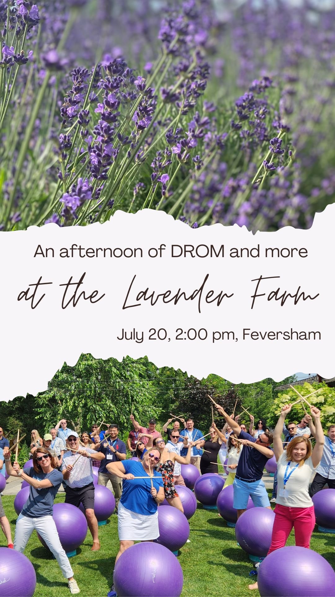 An Afternoon of DROM at the Lavender Farm