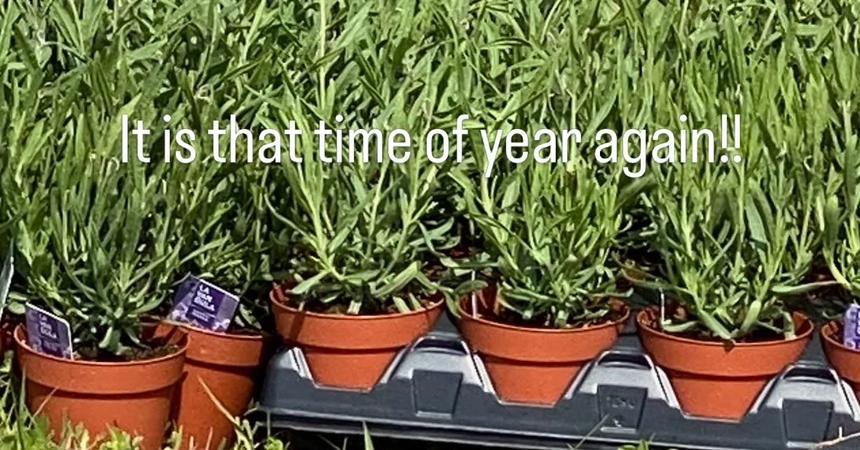 E8B35737-8AC5-4AEE-9E52-6725C90E8652.JPG (Copy)