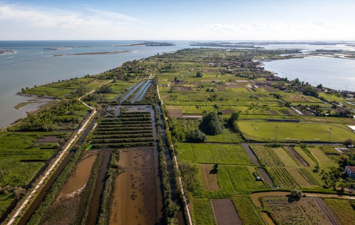 Sant’Erasmo island landscape near Venice with vineyards and lagoon views