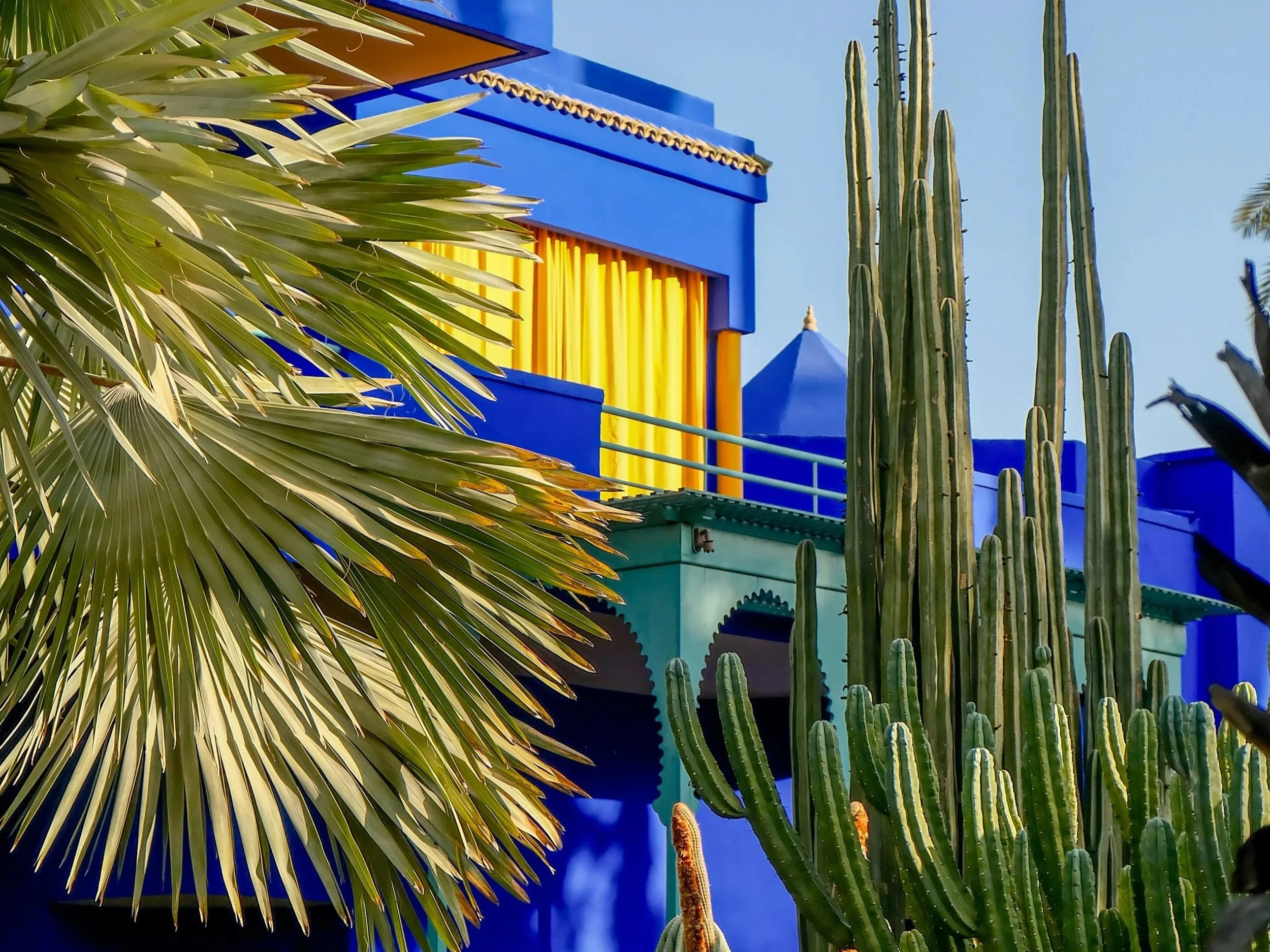 Colorful modern building with blue walls, yellow curtains, and turquoise accents, surrounded by green desert plants including a palm and tall cacti.