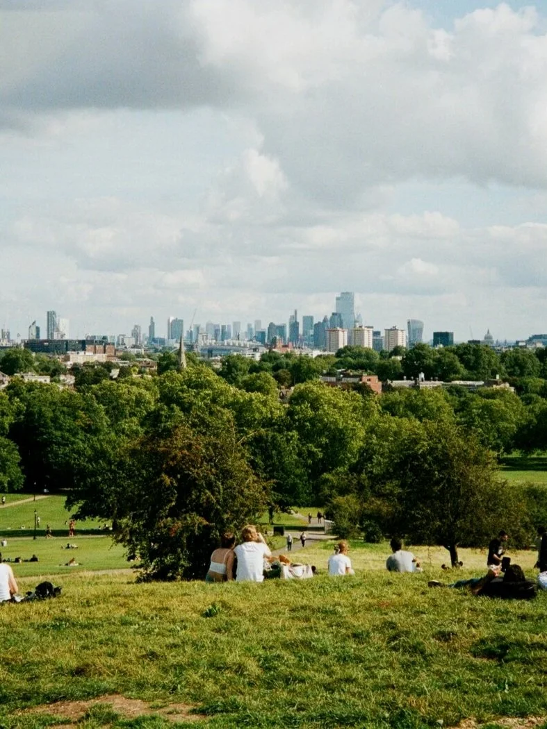 The whole of London unrolls beneath the gentle summit of Primrose Hill at dusk
