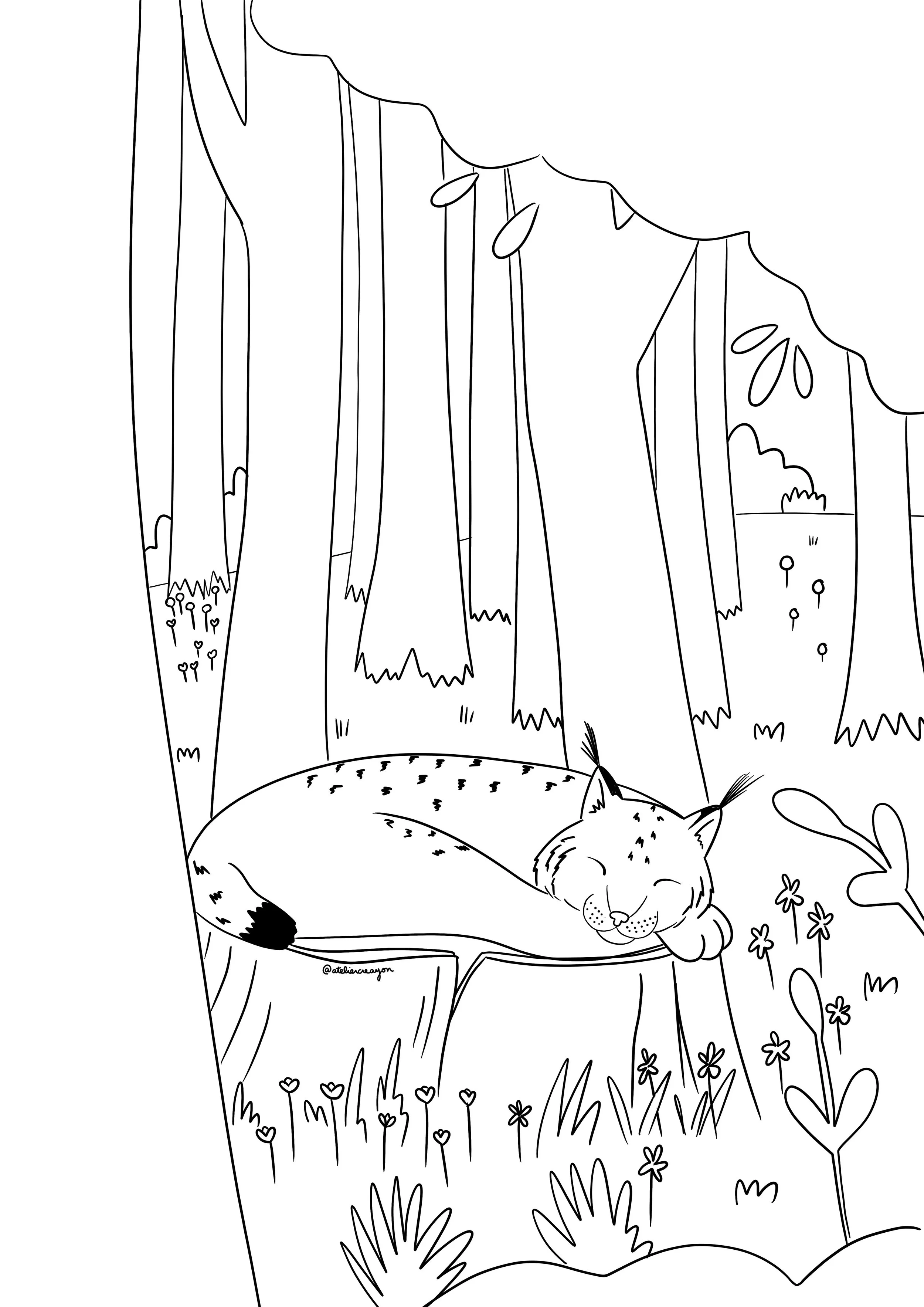 Coloriage de Mai