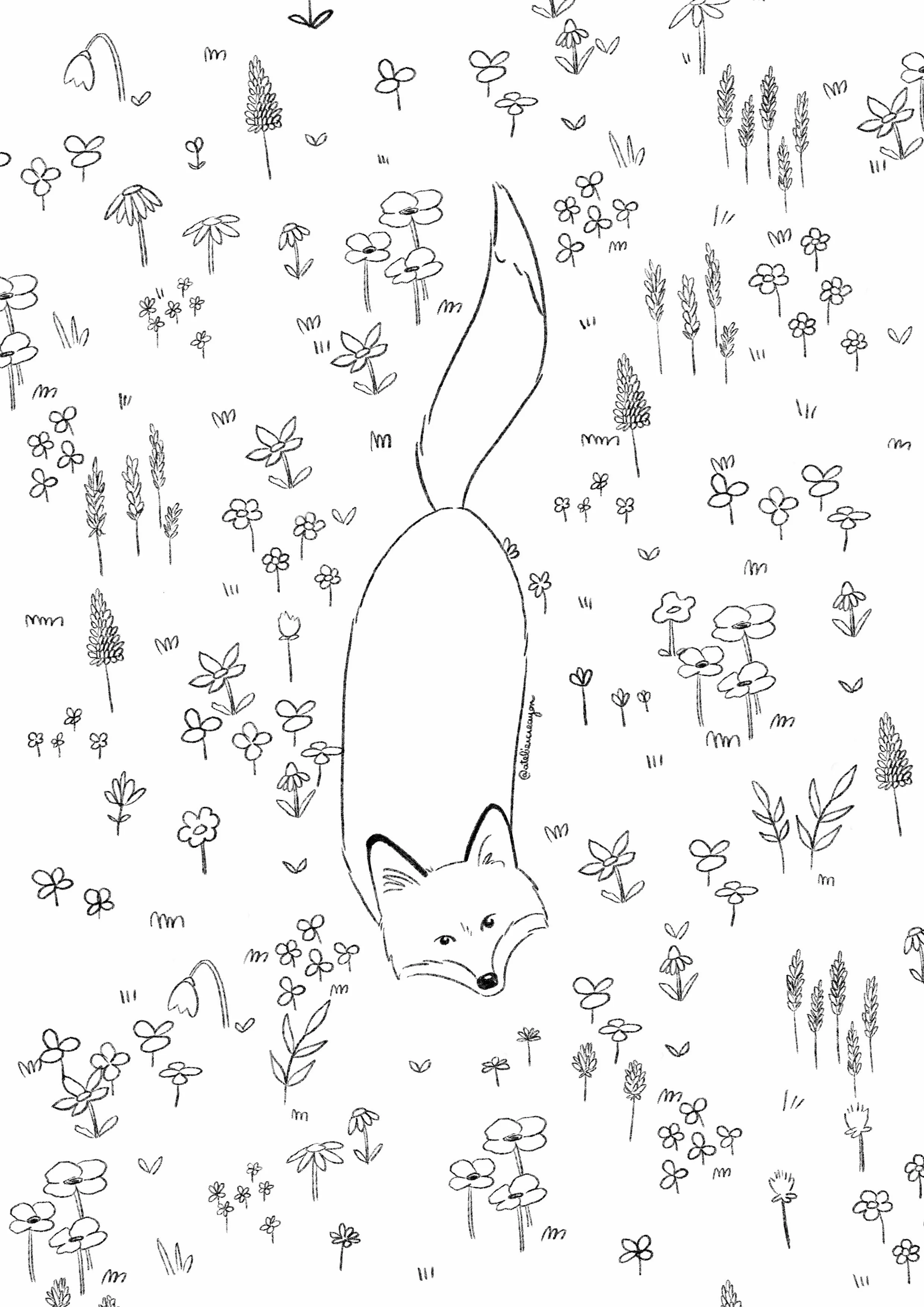 Coloriage d’Avril