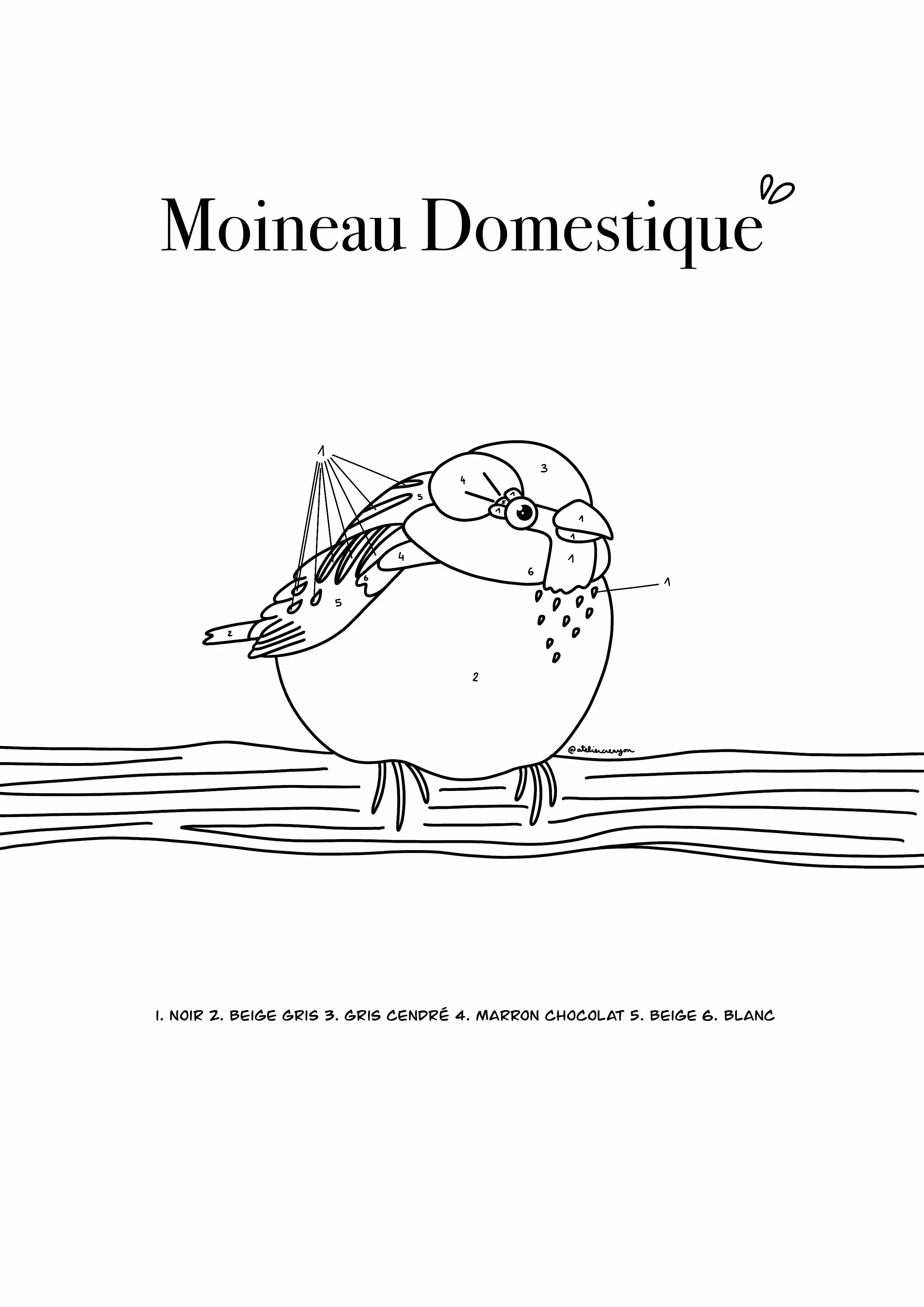 Coloriages des oiseaux