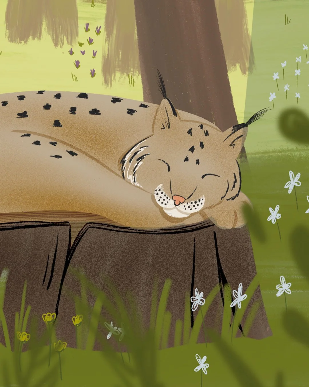 Sieste dans la forêt 🌲🌳🌲🌳🌲🌳🌲🌳🌲