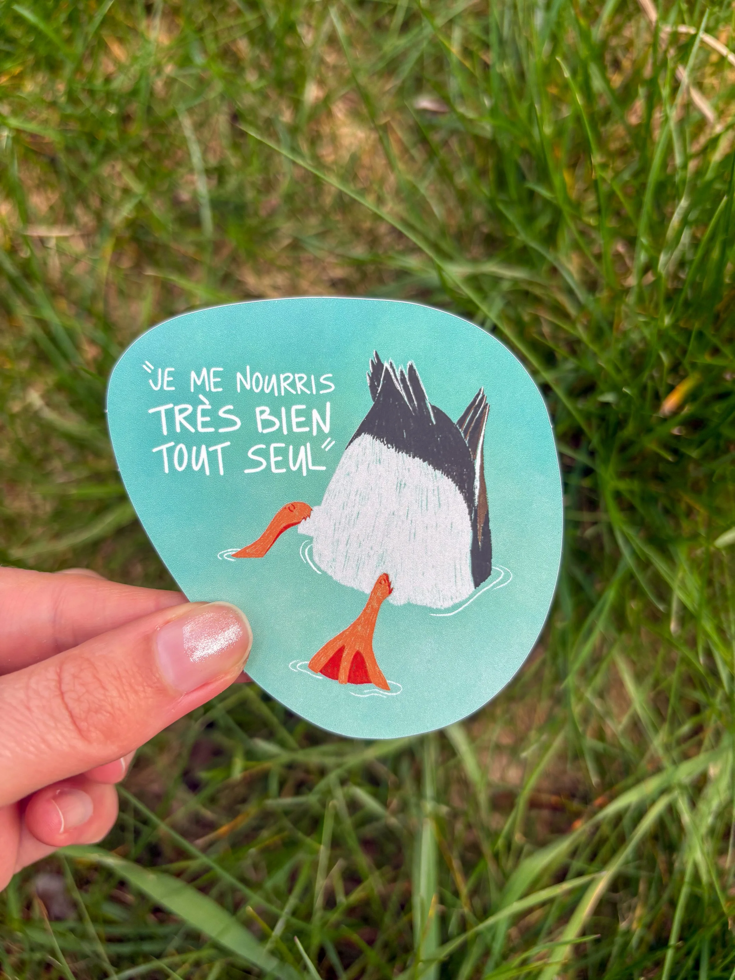 Donner du pain aux canards