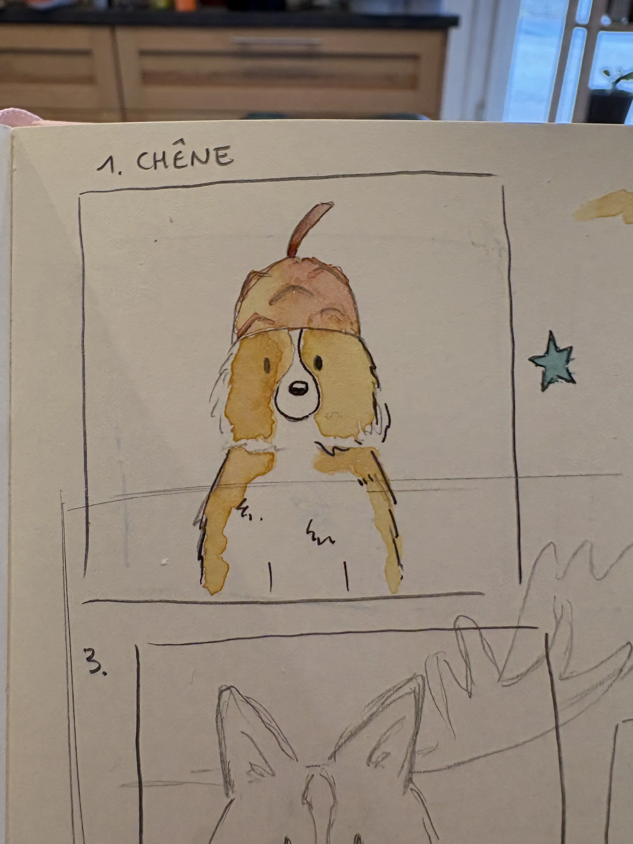 Croquis aquarelle shetland peachtober