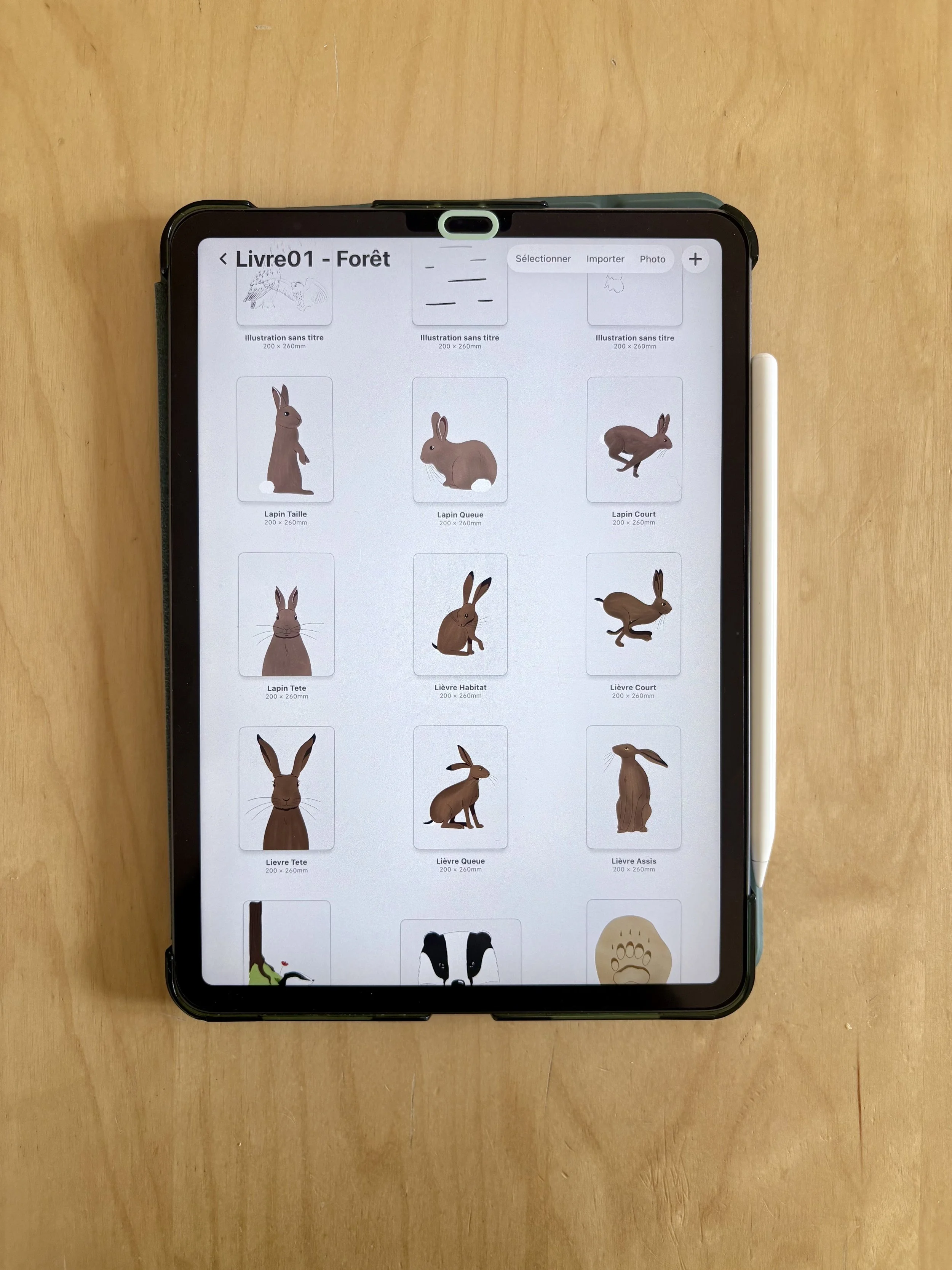 Sauras-tu reconnaître les animaux de la forêt croquis lapin lièvre Marion Monnier 