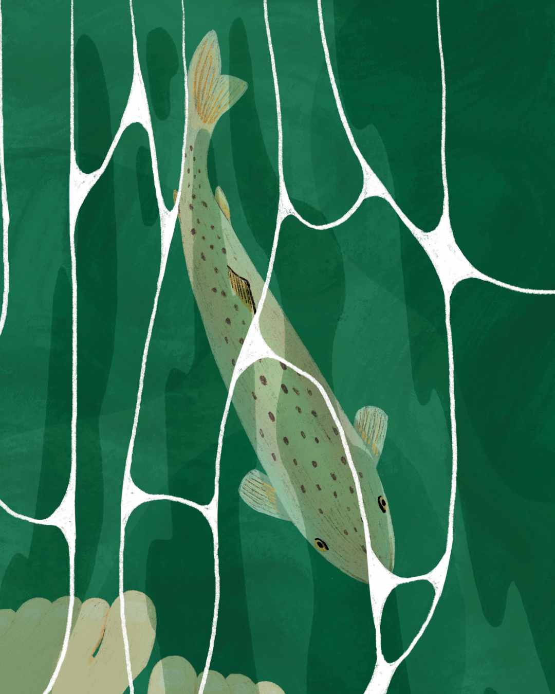 Illustration rivière truite nature