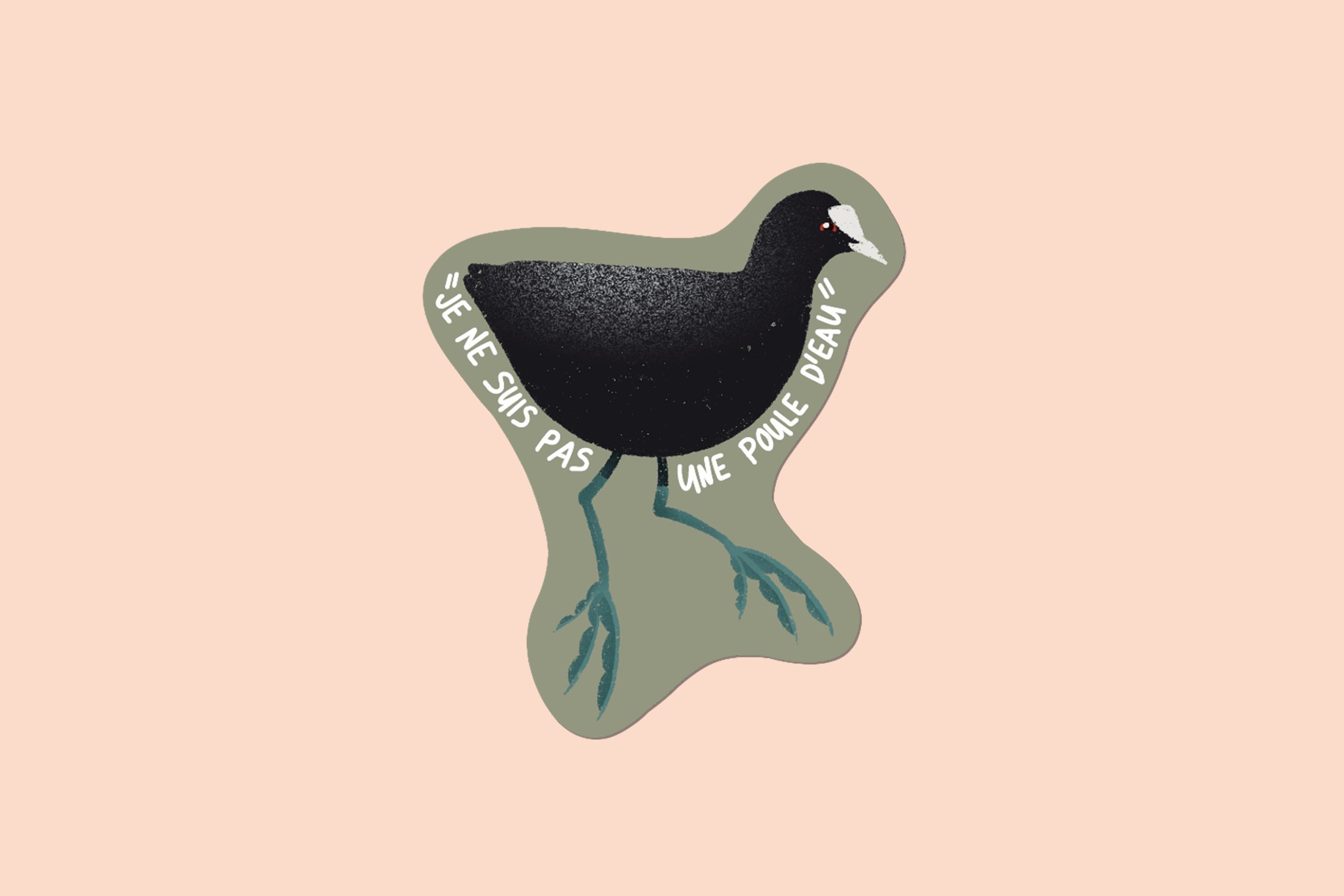 Sticker "Je ne suis pas une poule d'eau" Foulque Macroule
