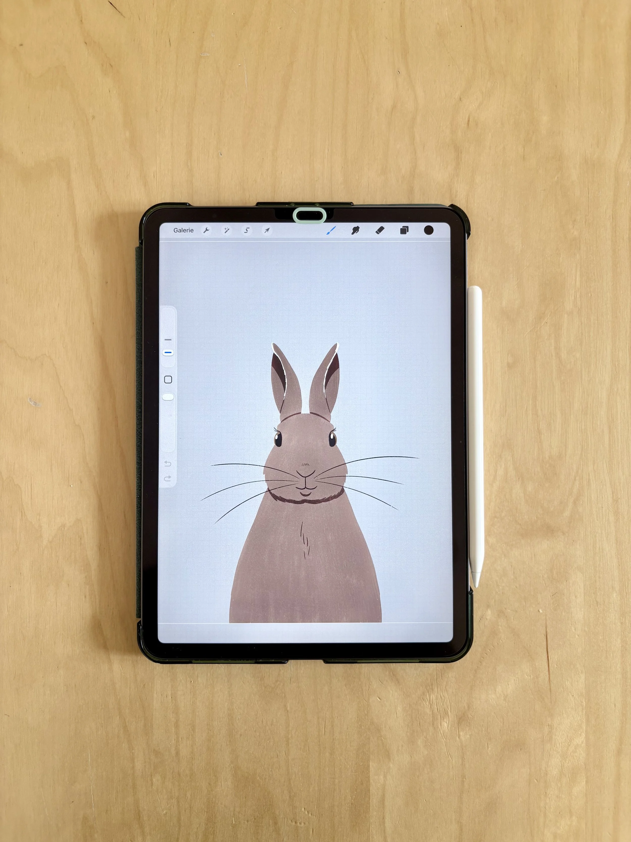 Sauras-tu reconnaître les animaux de la forêt lapin Marion Monnier 