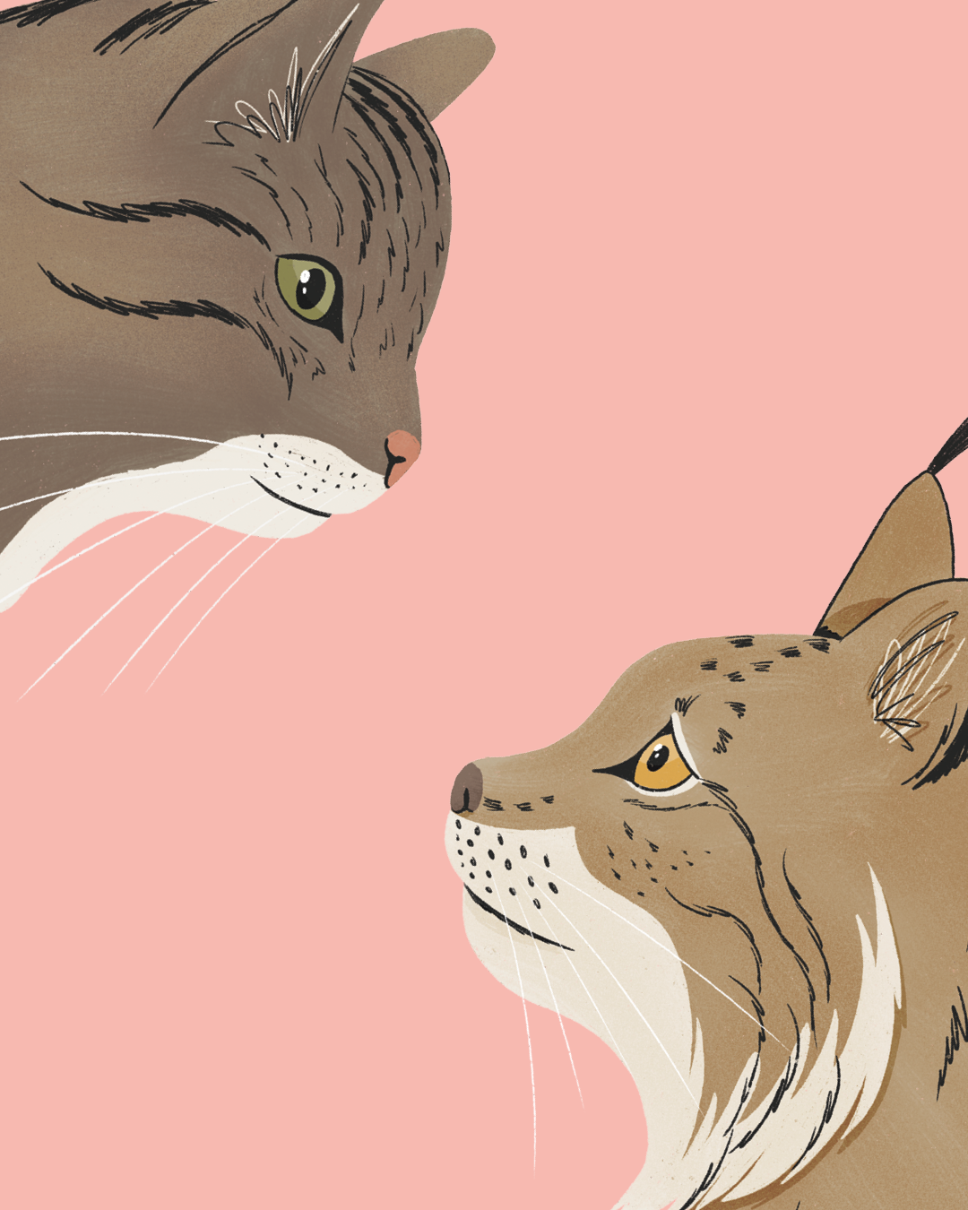 Sauras-tu reconnaître les animaux de la forêt