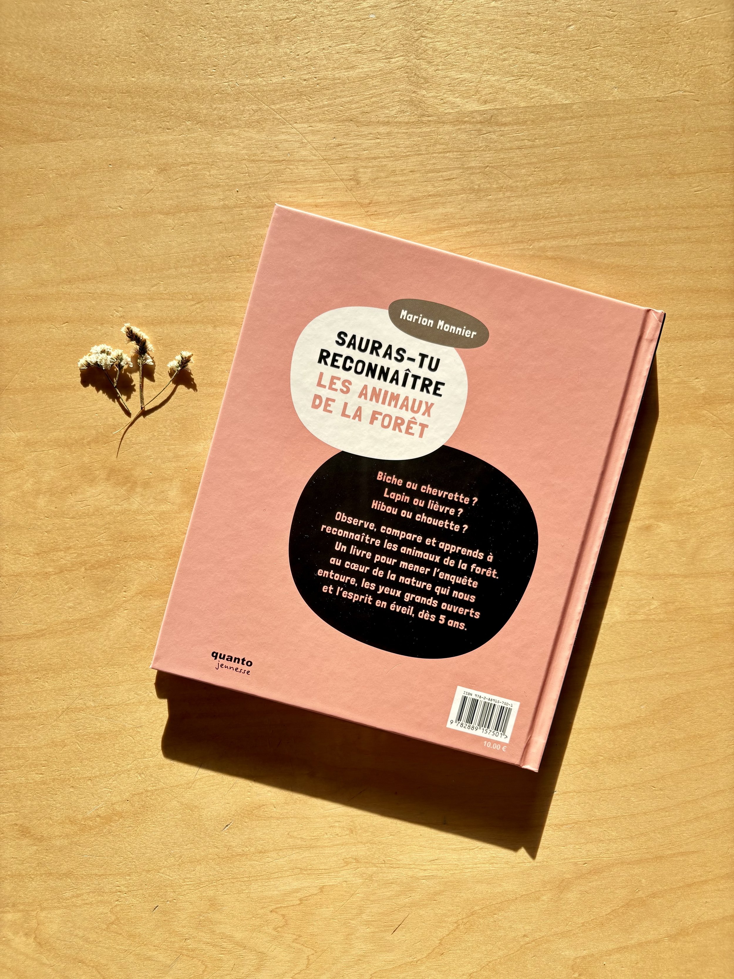Sauras-tu reconnaître les animaux de la forêt quatrième de couverture Marion Monnier Editions Quanto