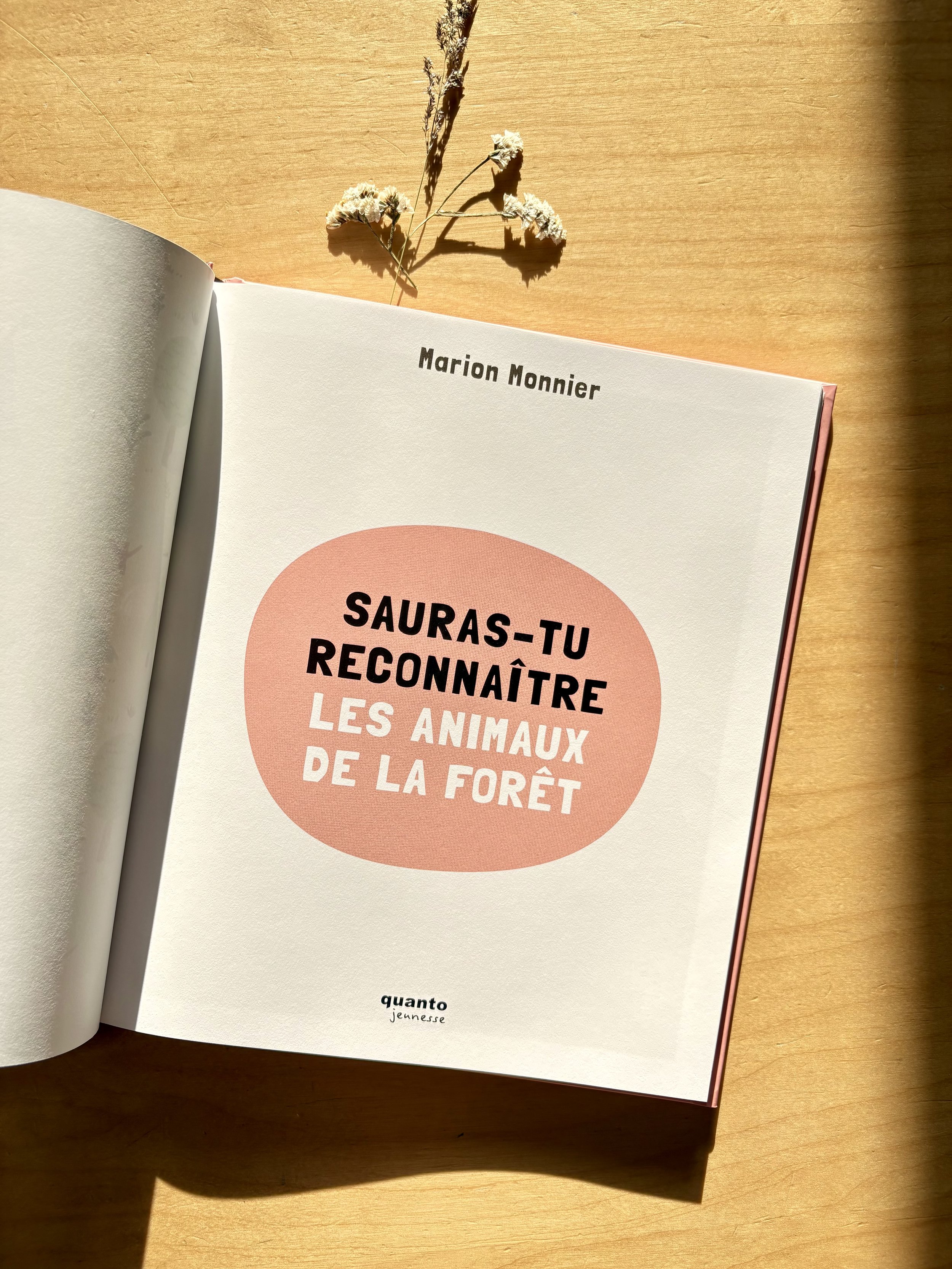 Sauras-tu reconnaître les animaux de la forêt Marion Monnier Editions Quanto